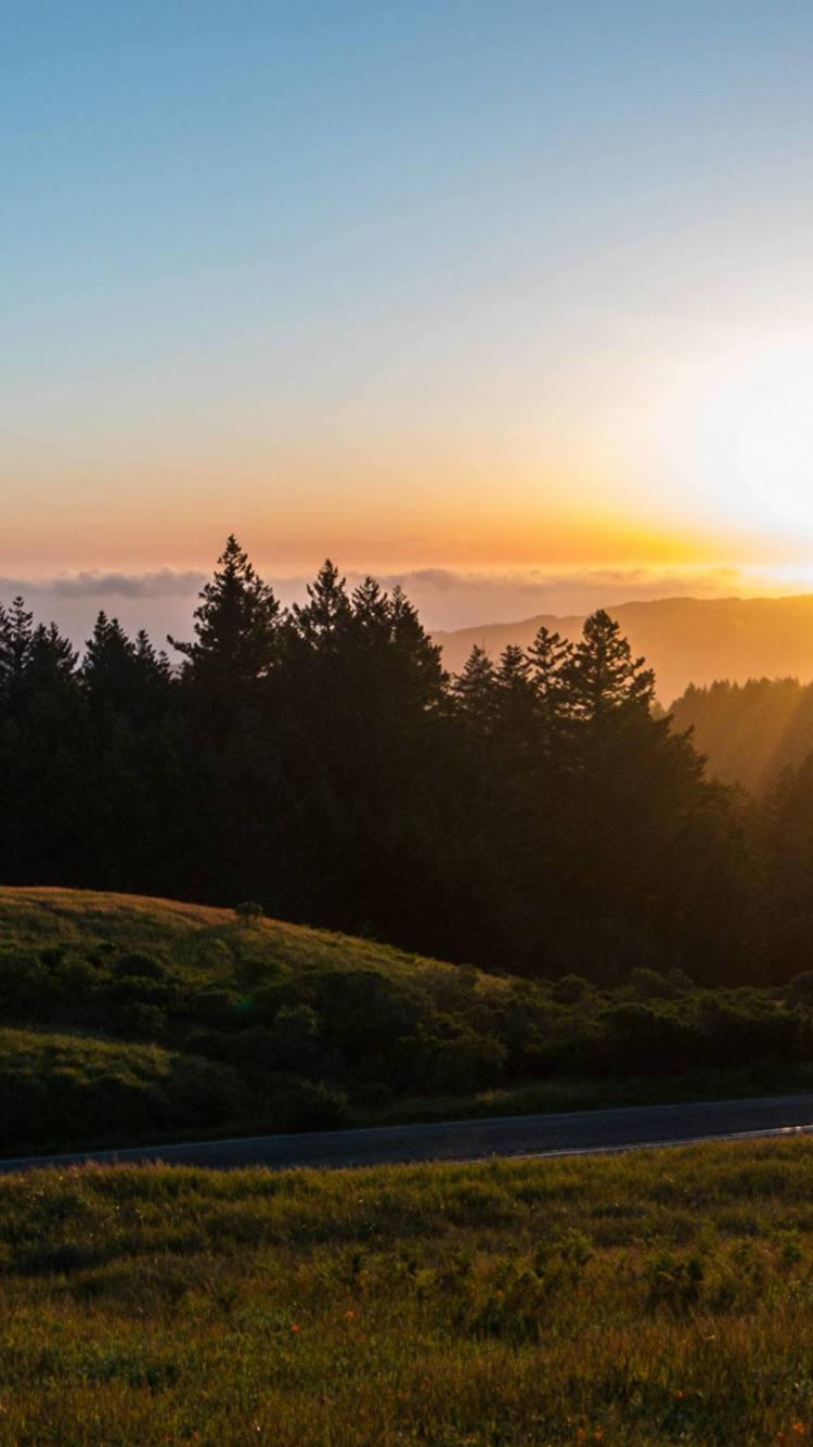 Campo de Hierba Verde Durante la Puesta de Sol. Wallpaper in 750x1334 Resolution