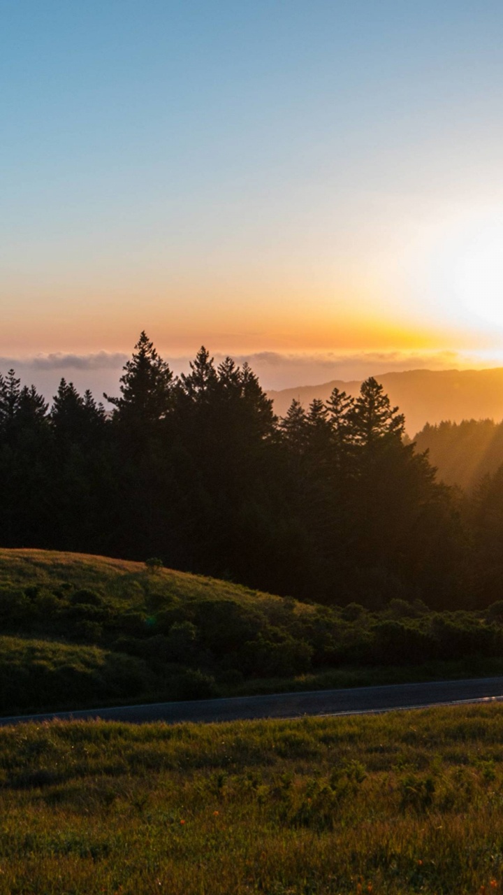 Green Grass Field During Sunset. Wallpaper in 720x1280 Resolution