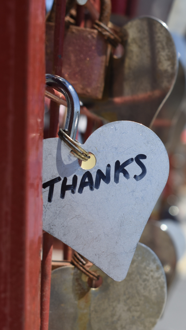 Cadenas, Verrouillage, Cœur, Amour, la Signalisation. Wallpaper in 750x1334 Resolution