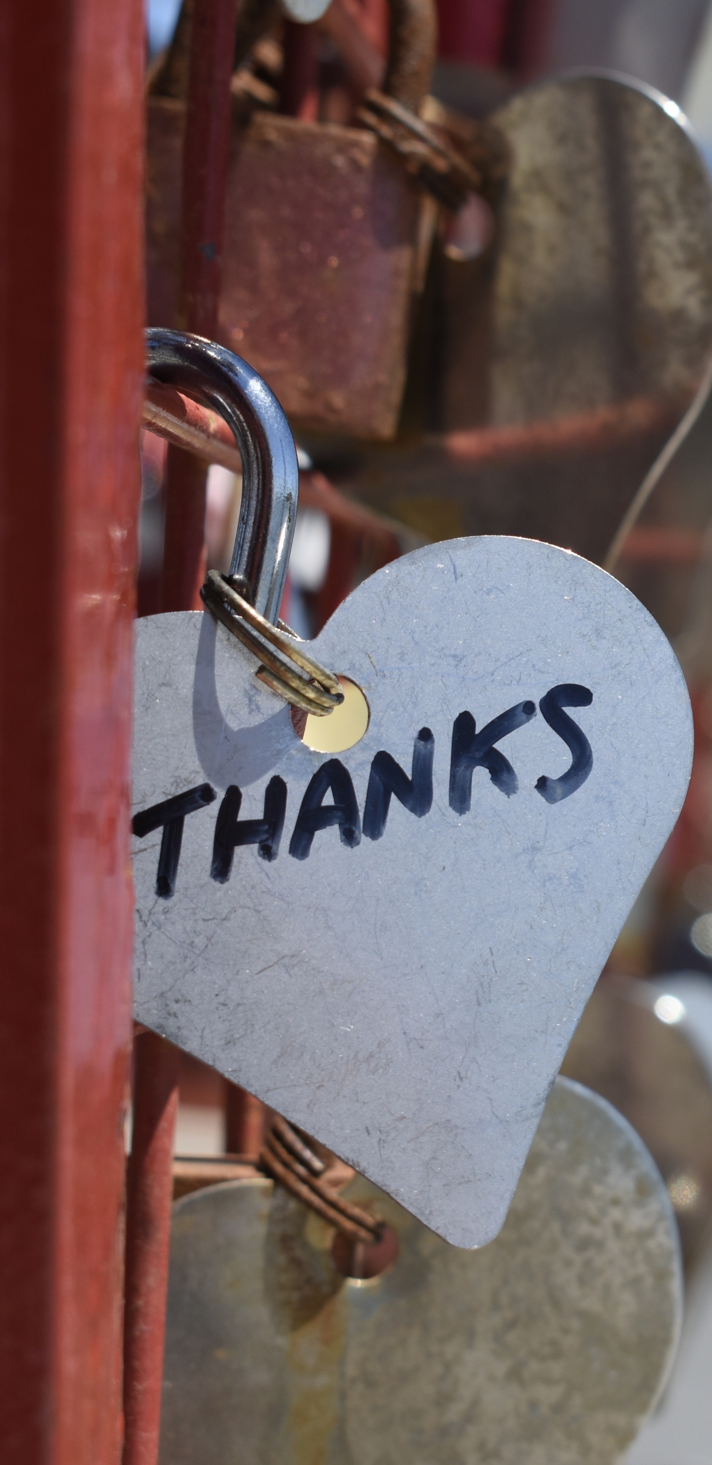 Candado, Bloqueo, Coraz, Amor, Letrero. Wallpaper in 1440x2960 Resolution