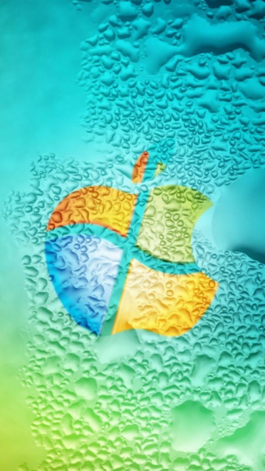 Water, Aqua, Marine Biology, Turquoise, Coral Reef Fish. Wallpaper in 1080x1920 Resolution