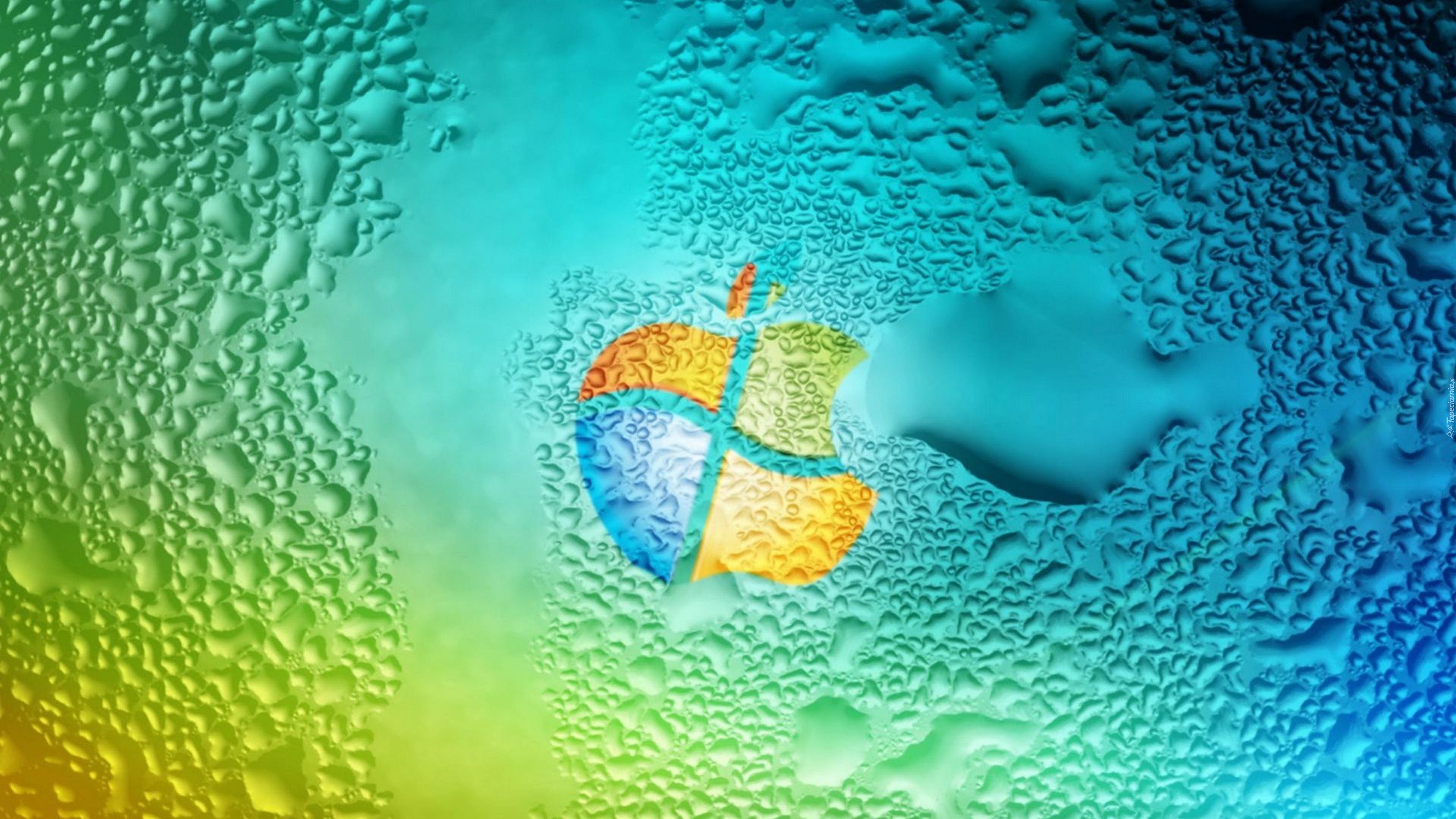 Water, Aqua, Marine Biology, Turquoise, Coral Reef Fish. Wallpaper in 3840x2160 Resolution