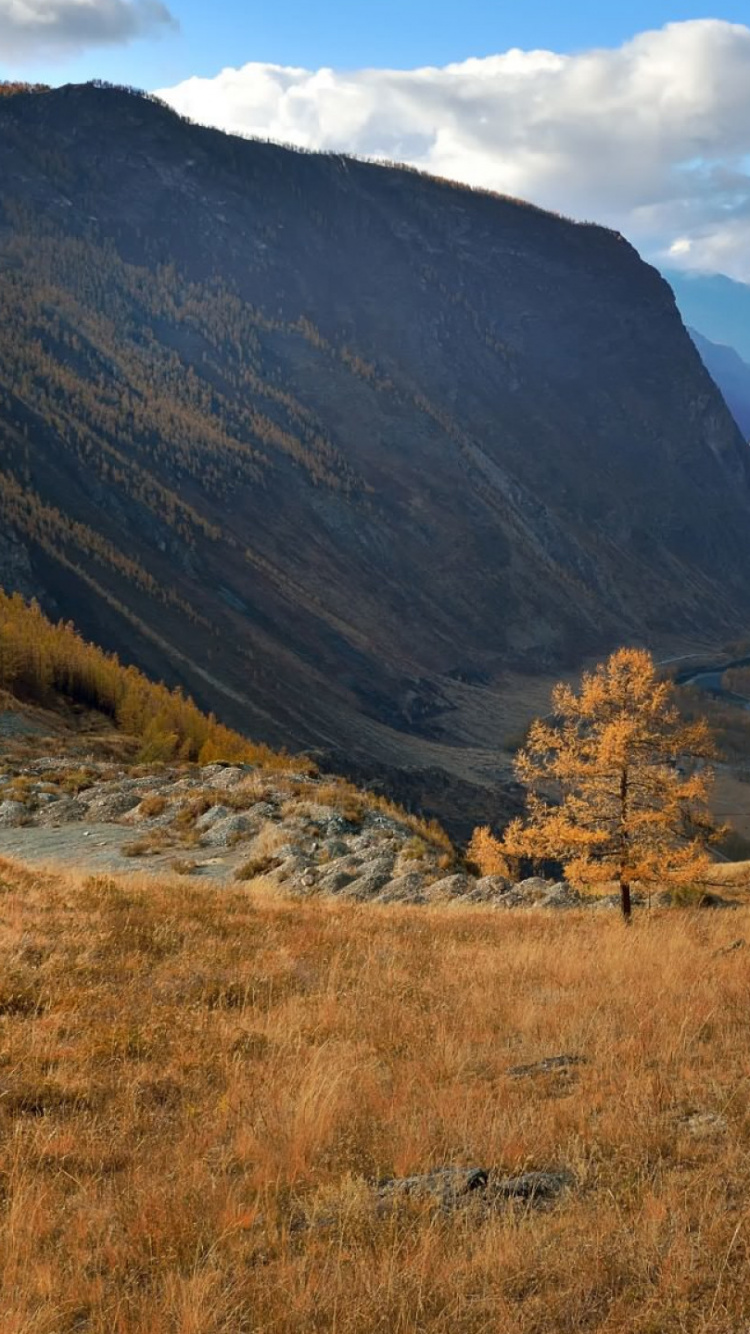 Braune Wiese in Der Nähe Von Braunem Berg Unter Weißen Wolken Und Blauem Himmel Tagsüber During. Wallpaper in 750x1334 Resolution