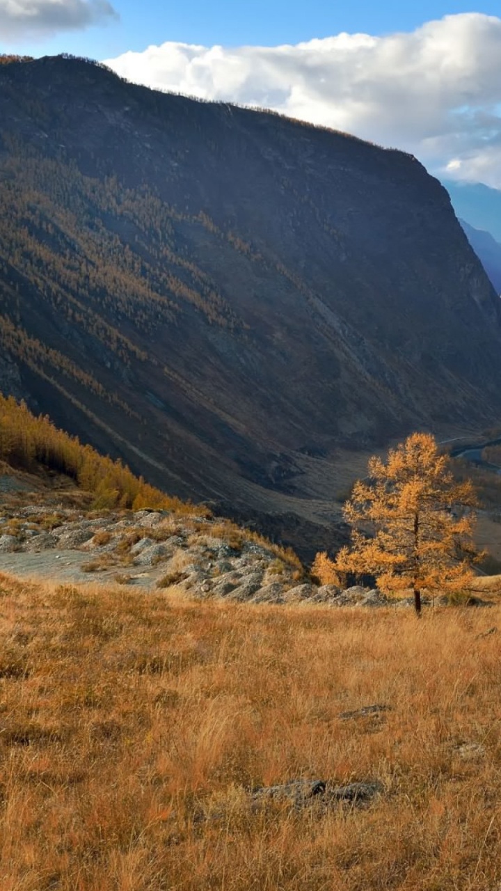 Campo de Hierba Marrón Cerca de la Montaña Marrón Bajo Nubes Blancas y Cielo Azul Durante el Día. Wallpaper in 720x1280 Resolution