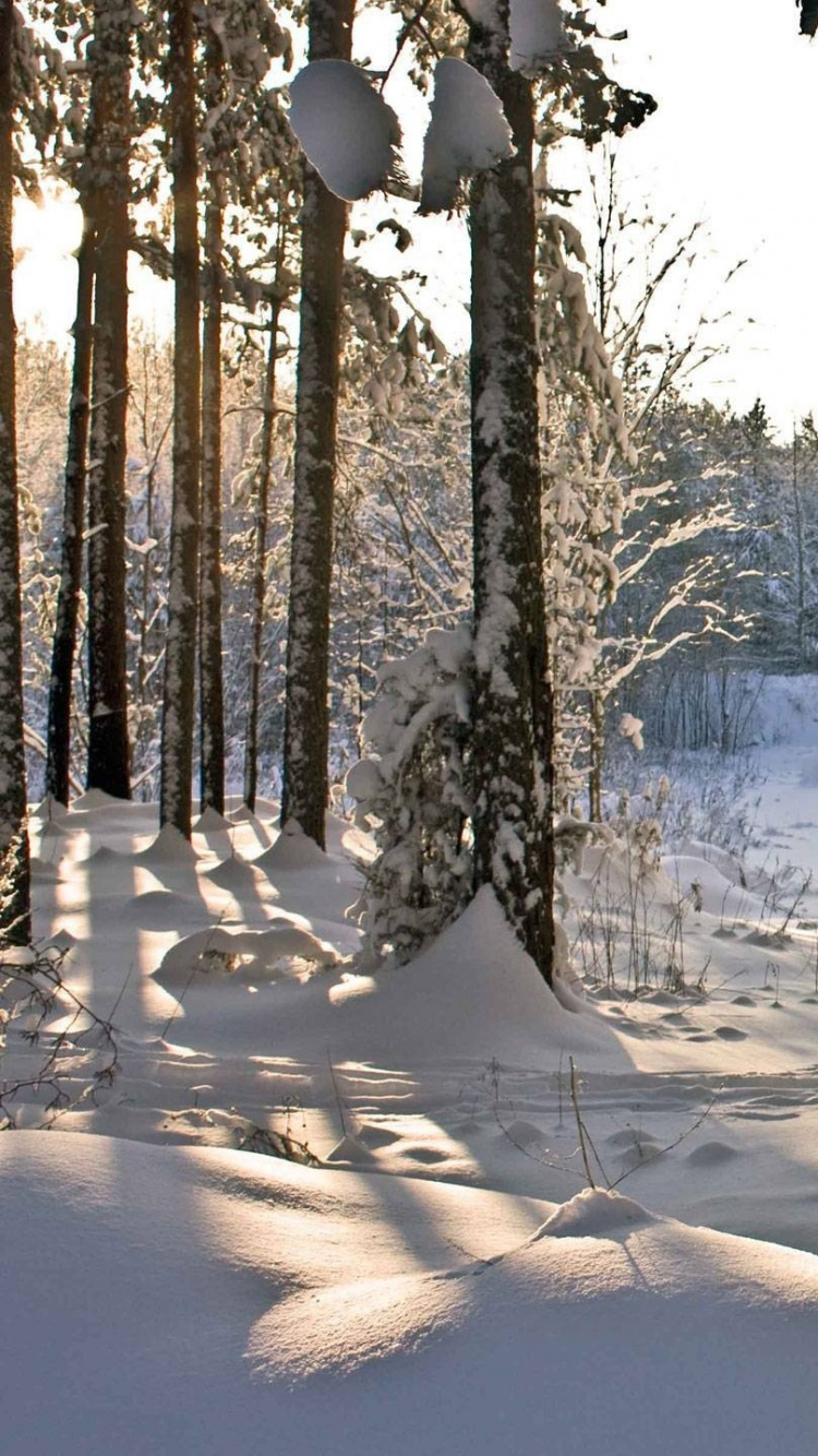Snow Covered Field and Trees During Daytime. Wallpaper in 750x1334 Resolution