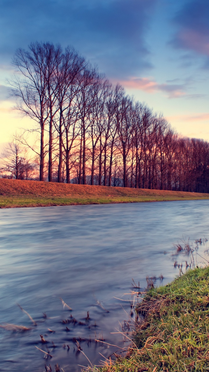 Brown Trees Beside River Under Blue Sky During Daytime. Wallpaper in 720x1280 Resolution