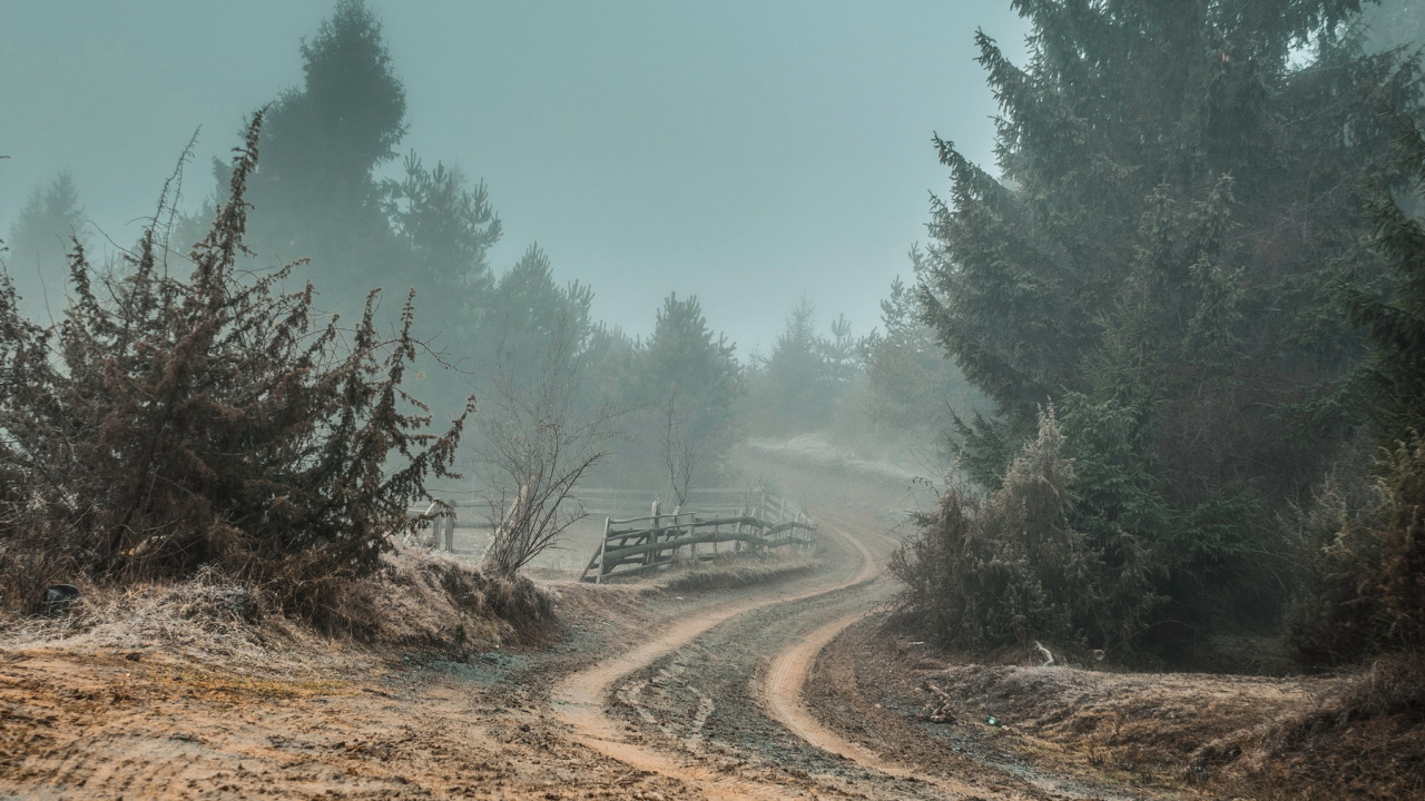 Surrealism, Painting, Landscape Painting, Art, Tree. Wallpaper in 1280x720 Resolution