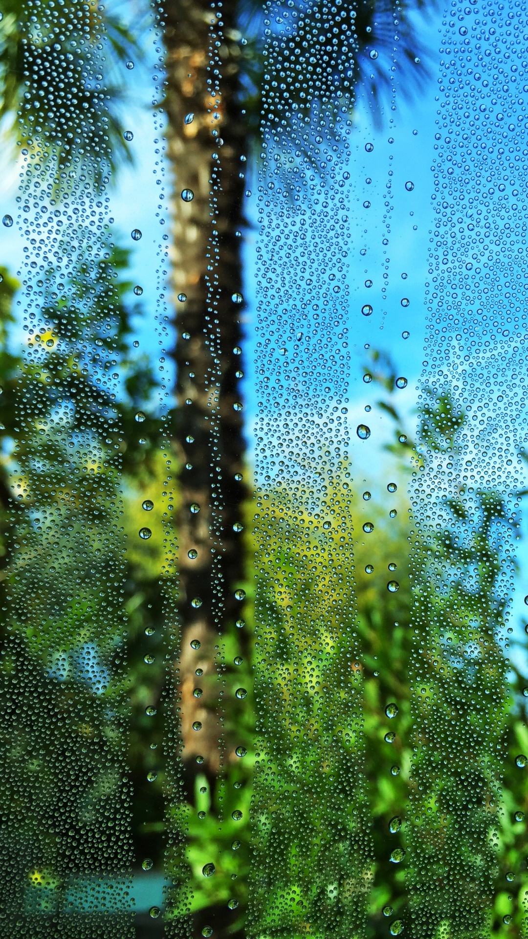 Green, Water, Vegetation, Nature, Blue. Wallpaper in 1080x1920 Resolution