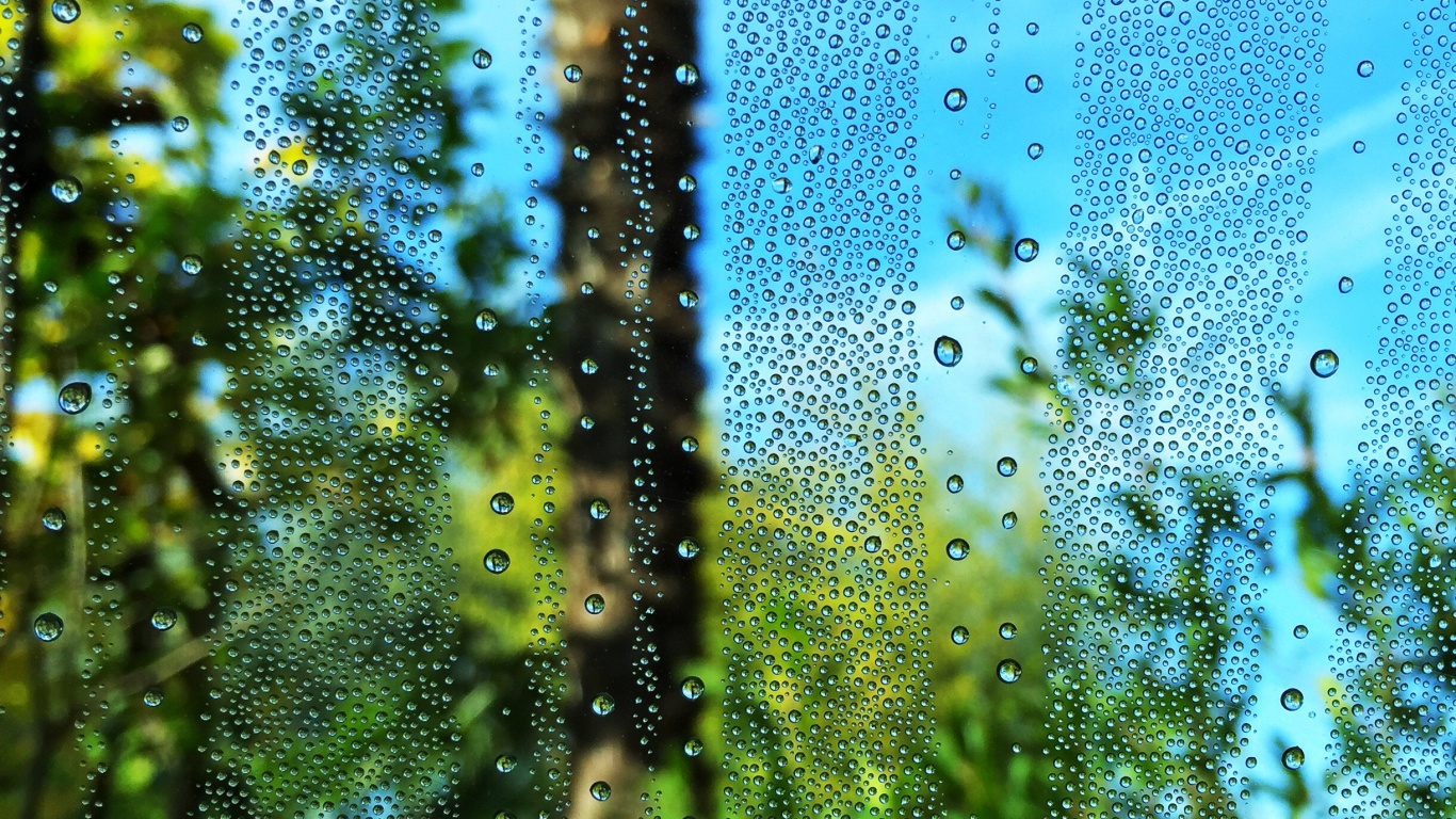 Verde, Agua, la Vegetación, Naturaleza, Azul. Wallpaper in 1366x768 Resolution