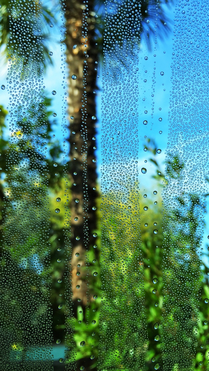 Verde, Agua, la Vegetación, Naturaleza, Azul. Wallpaper in 720x1280 Resolution