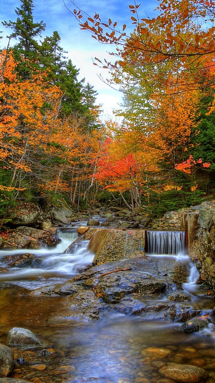 Autumn, Nature, Stream, Leaf, Water. Wallpaper in 720x1280 Resolution
