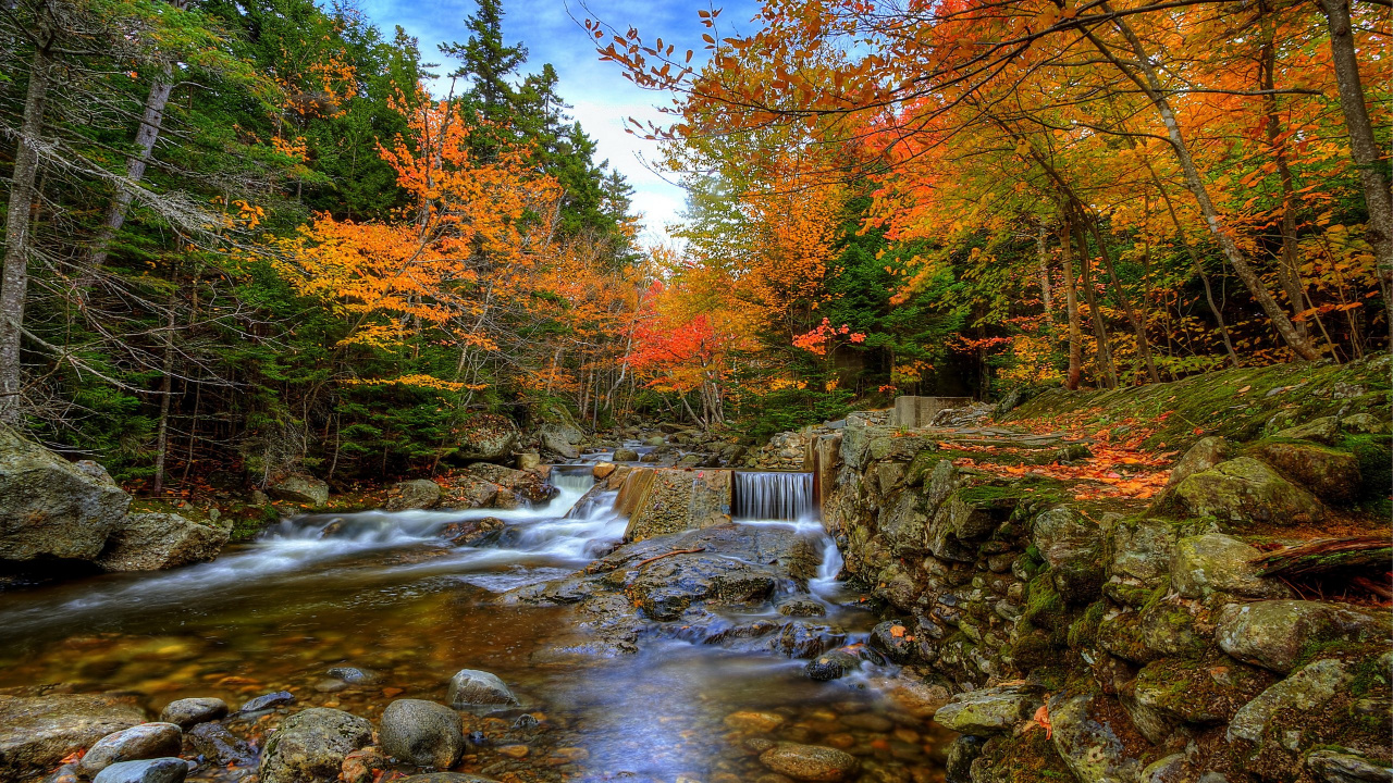 Herbst, Natur, Stream, Blatt, Wasser. Wallpaper in 1280x720 Resolution