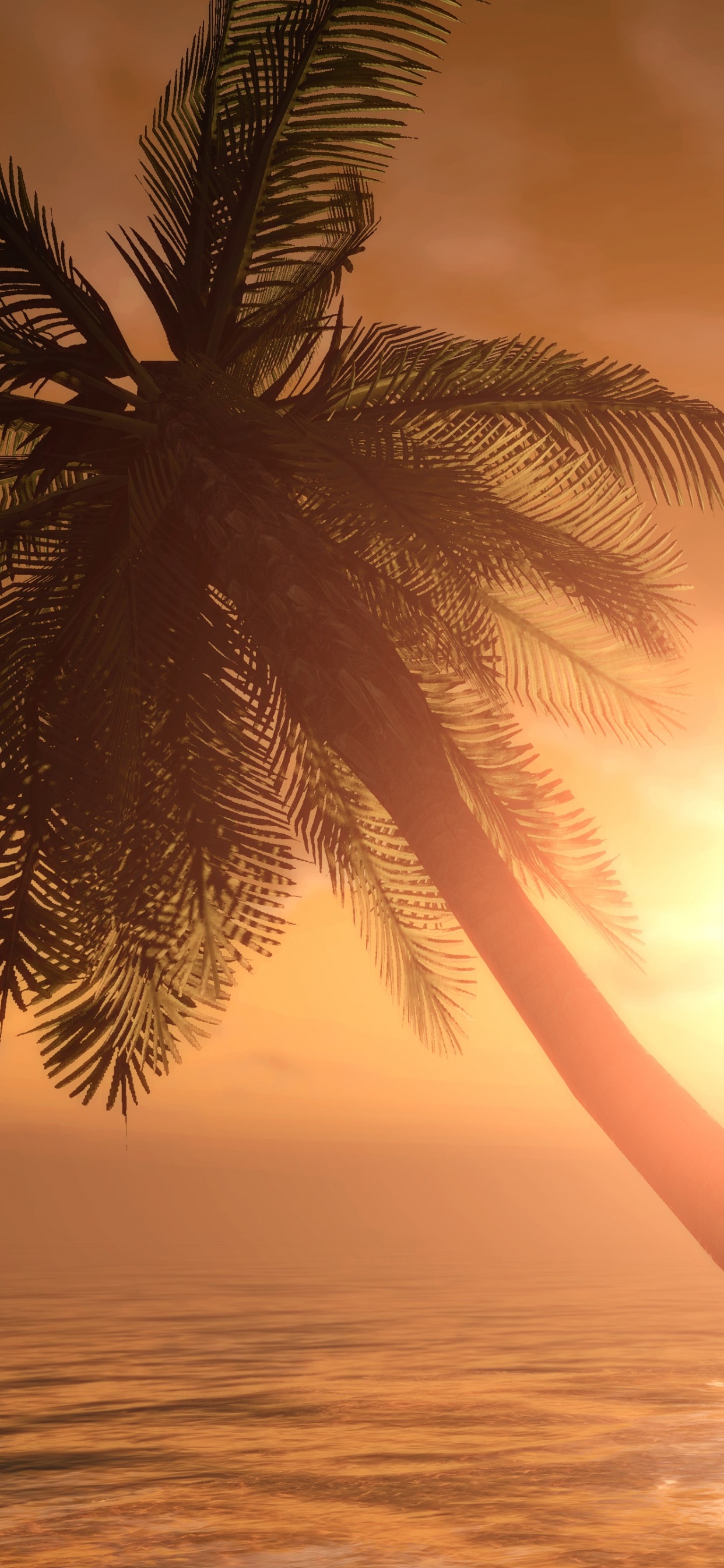 Silhouette of Palm Trees During Sunset. Wallpaper in 1242x2688 Resolution