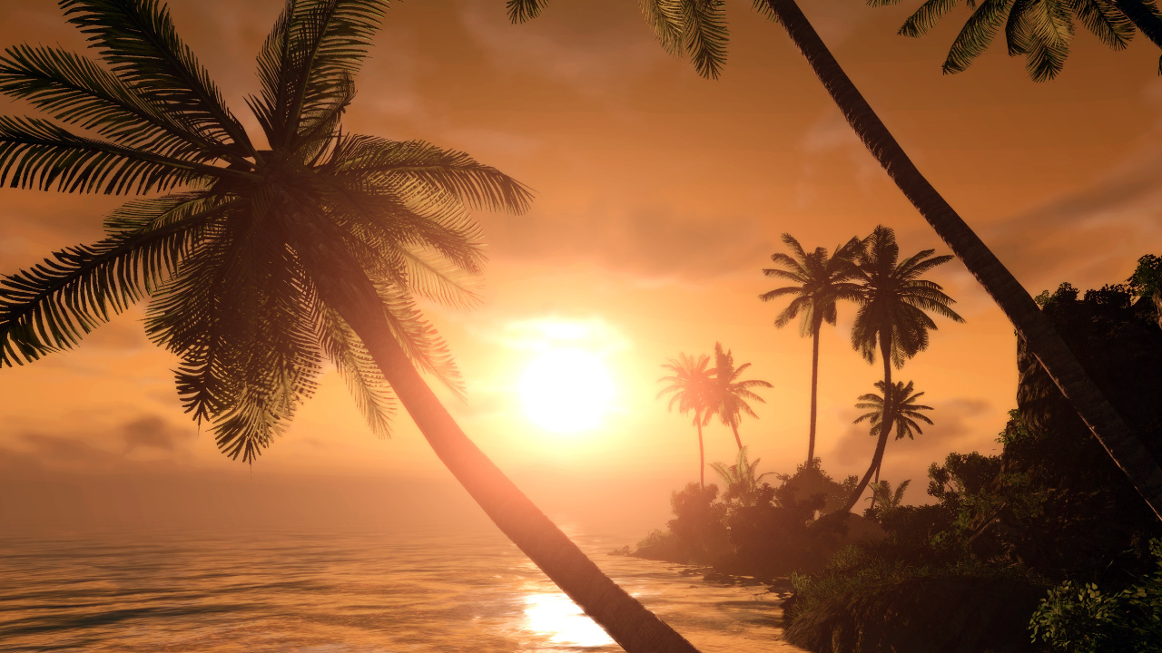 Silhouette of Palm Trees During Sunset. Wallpaper in 1280x720 Resolution