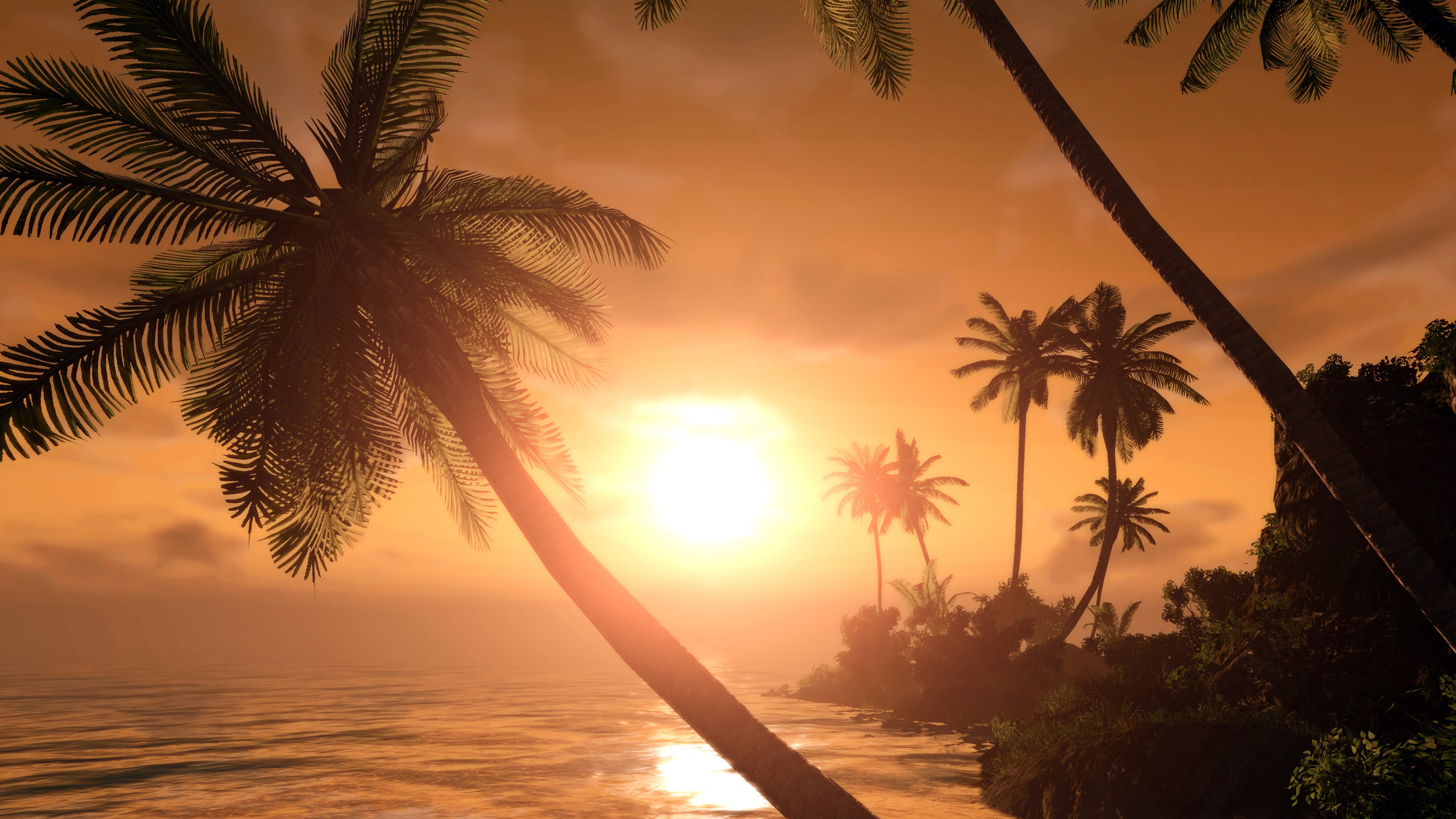 Silhouette of Palm Trees During Sunset. Wallpaper in 3840x2160 Resolution