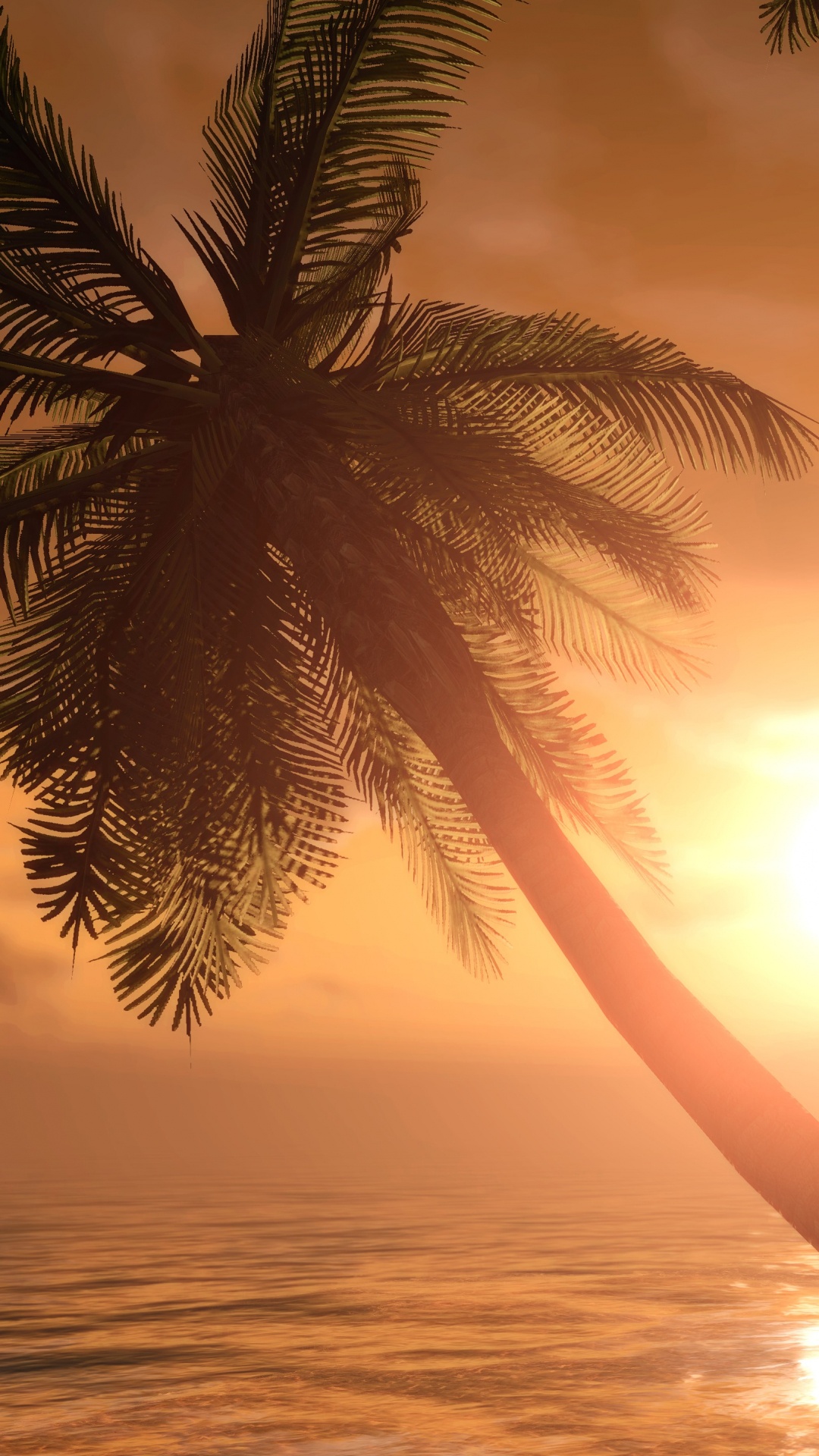 Silhouette de Palmiers au Coucher du Soleil. Wallpaper in 1080x1920 Resolution