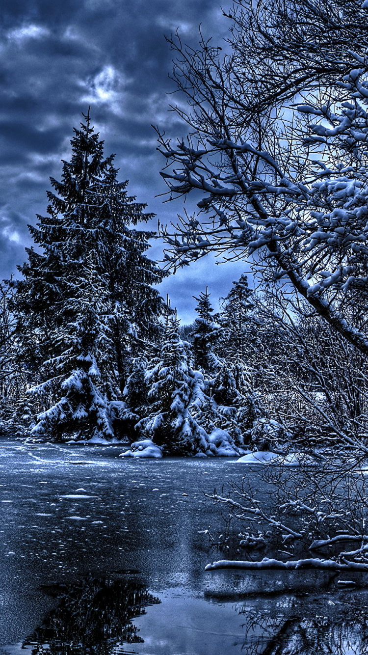 Snow Covered Trees Near Body of Water Under Cloudy Sky During Daytime. Wallpaper in 750x1334 Resolution