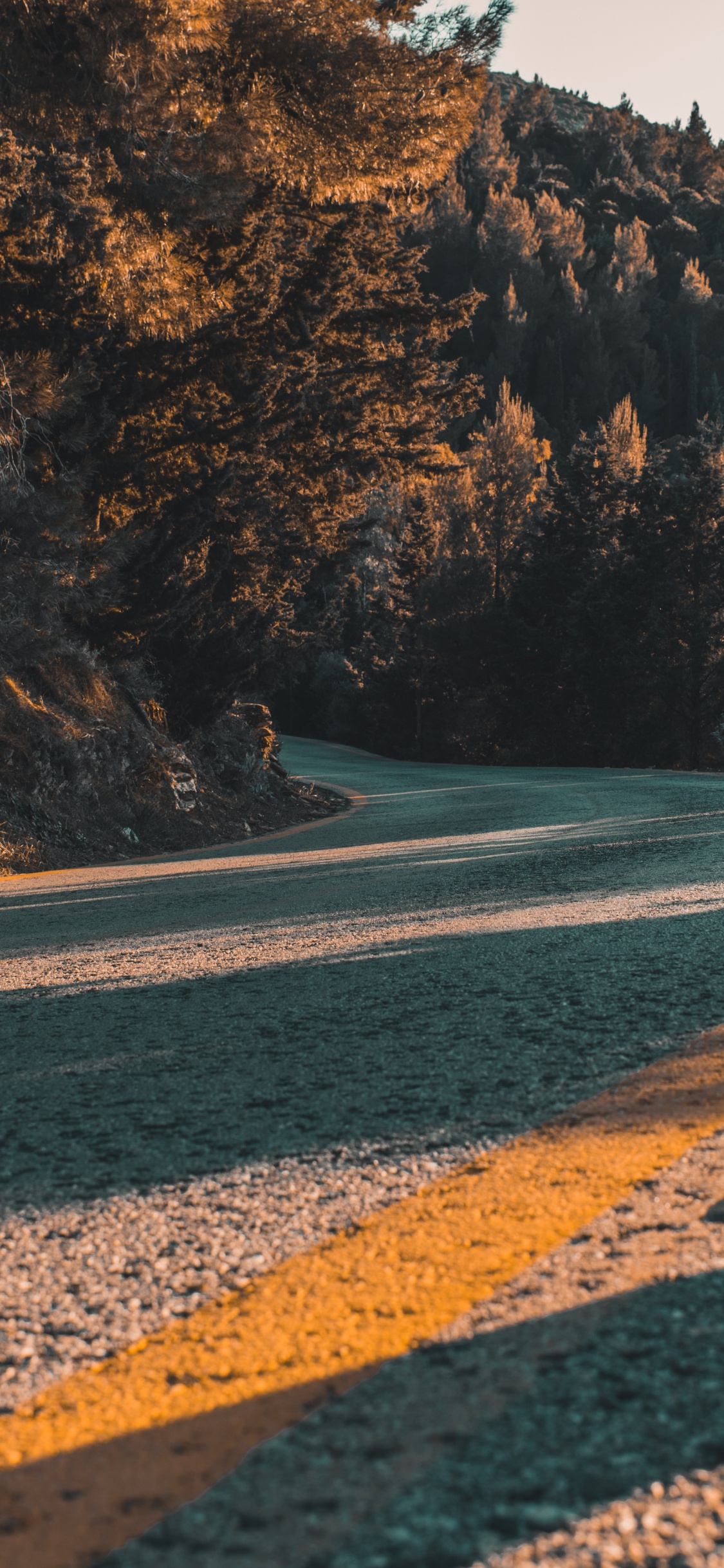 Shore, Asphalt, Wilderness, Sea, Rock. Wallpaper in 1125x2436 Resolution