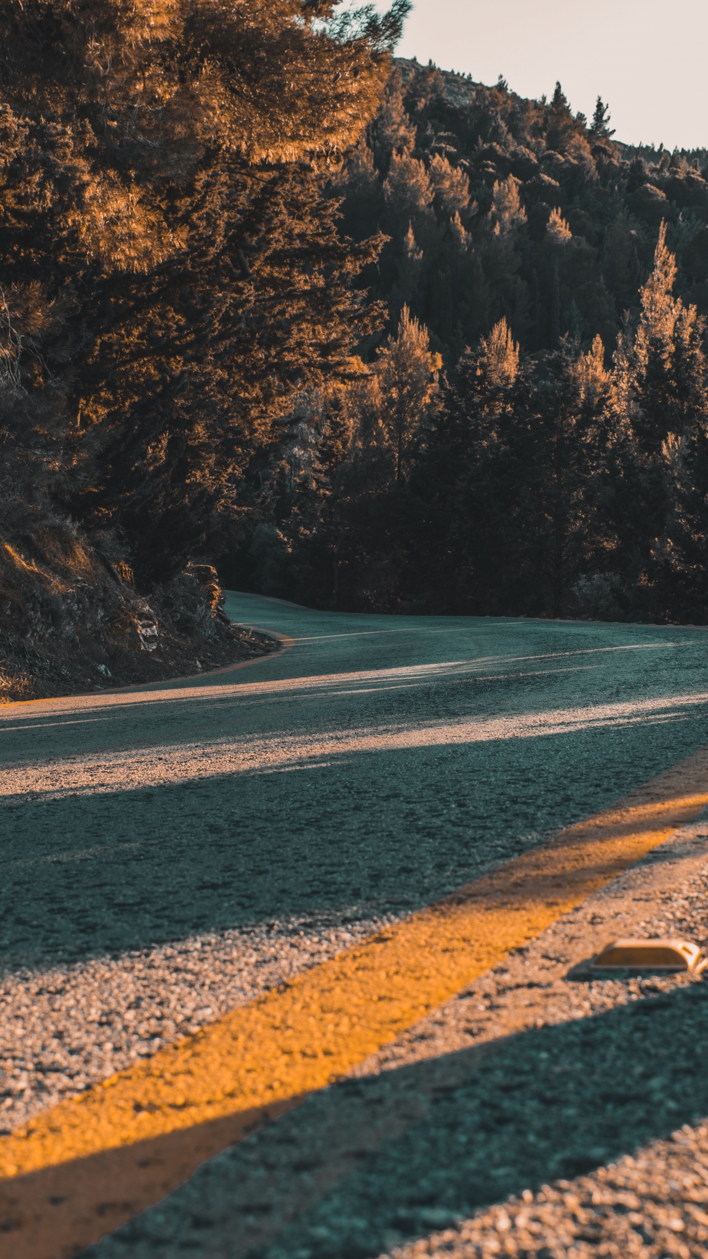 Shore, Asphalt, Wilderness, Sea, Rock. Wallpaper in 1440x2560 Resolution