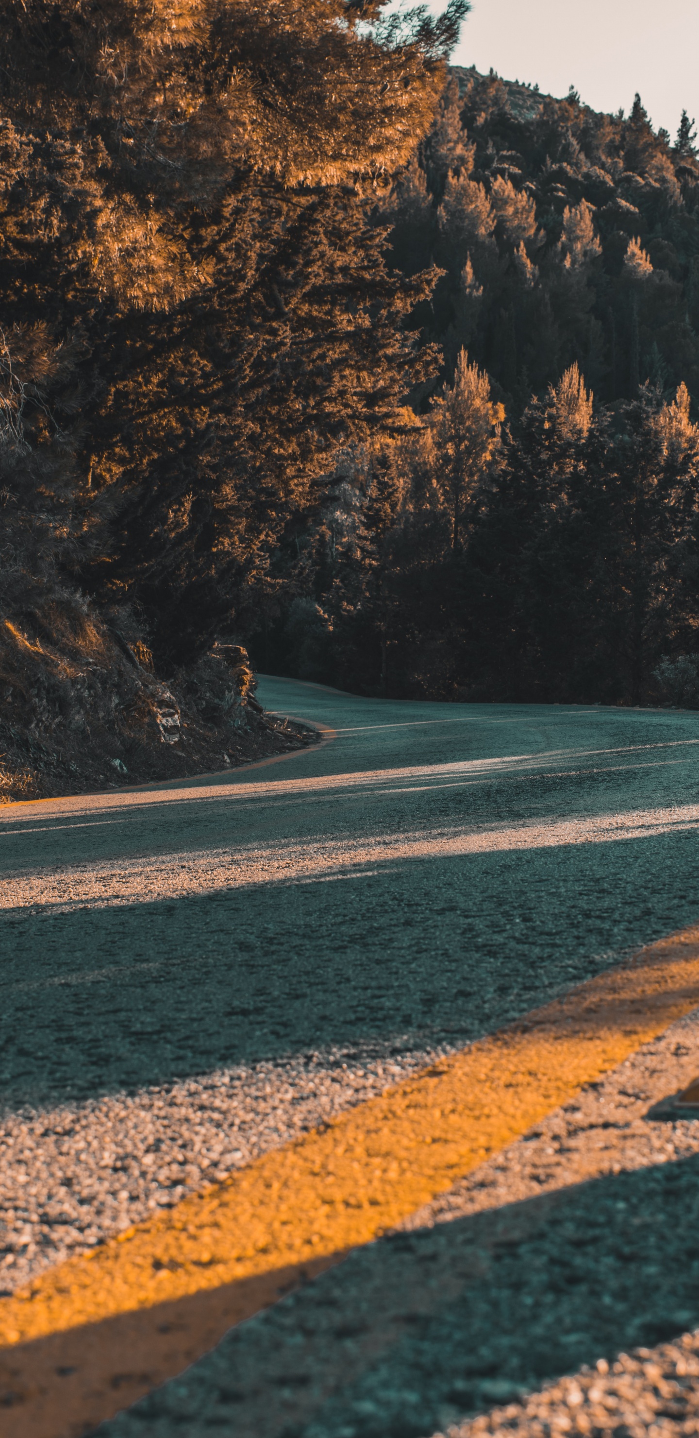 Shore, Asphalt, Wilderness, Sea, Rock. Wallpaper in 1440x2960 Resolution