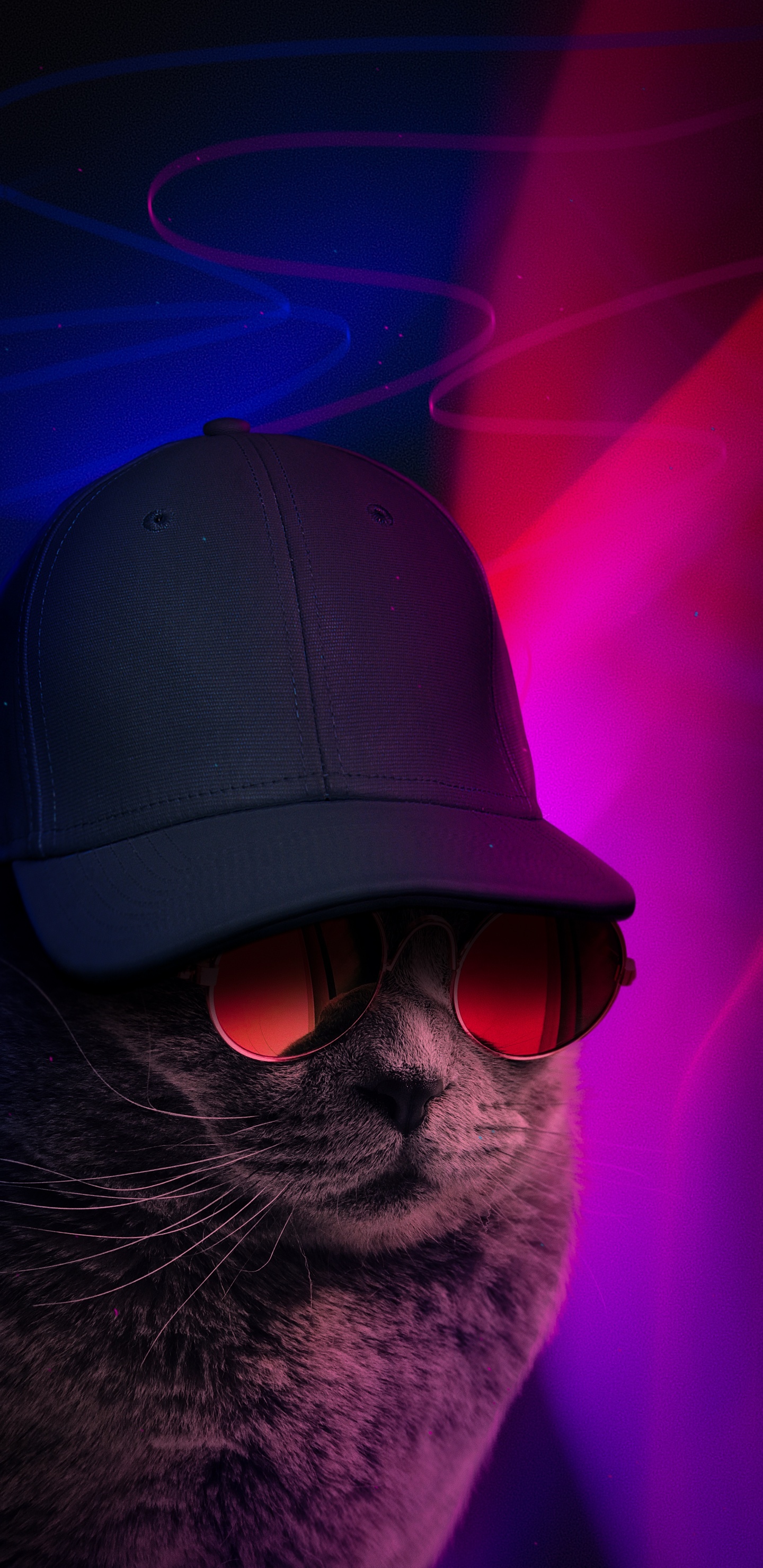 光, 太阳镜, 护目镜, 帽子, 帽 壁纸 1440x2960 允许