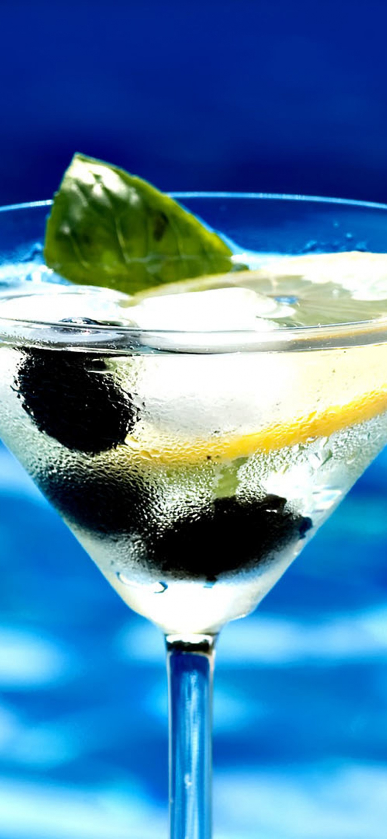 Clear Cocktail Glass With Sliced Lemon and Black Liquid. Wallpaper in 1242x2688 Resolution