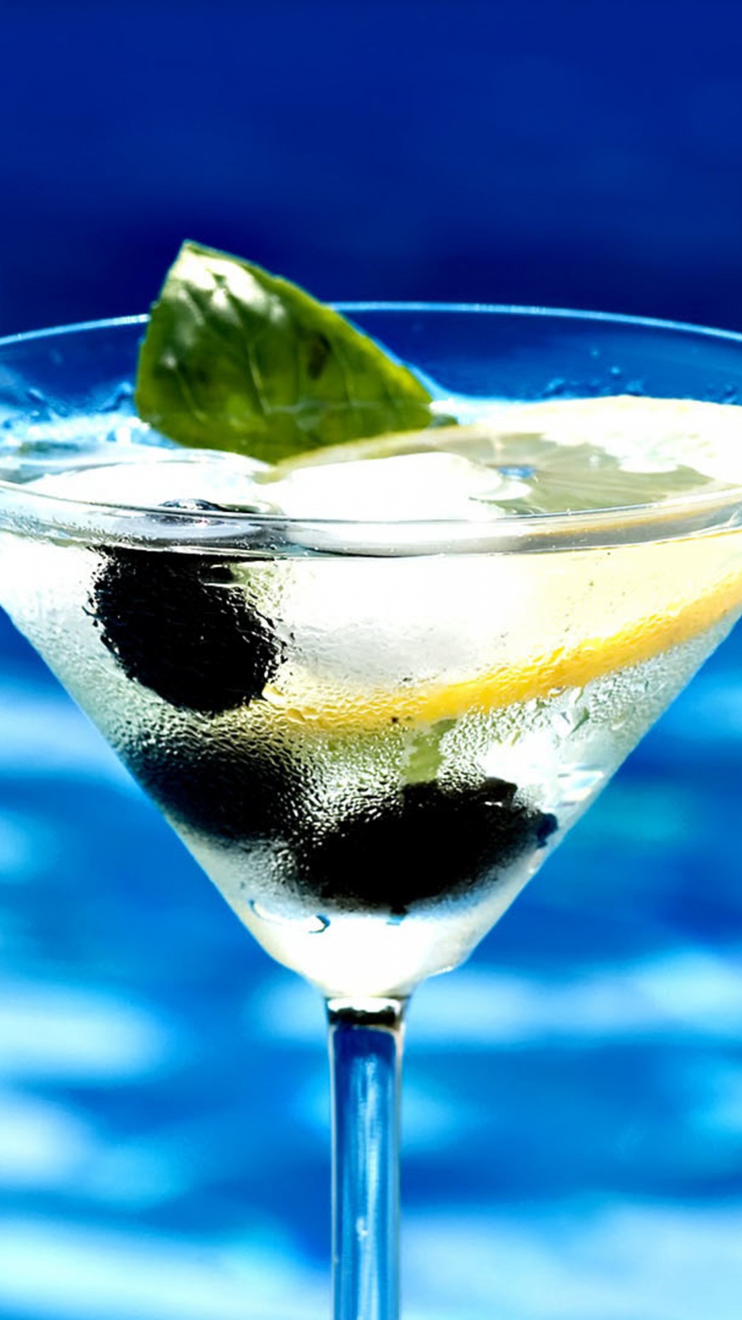 Verre à Cocktail Transparent Avec du Citron Tranché et du Liquide Noir. Wallpaper in 1080x1920 Resolution