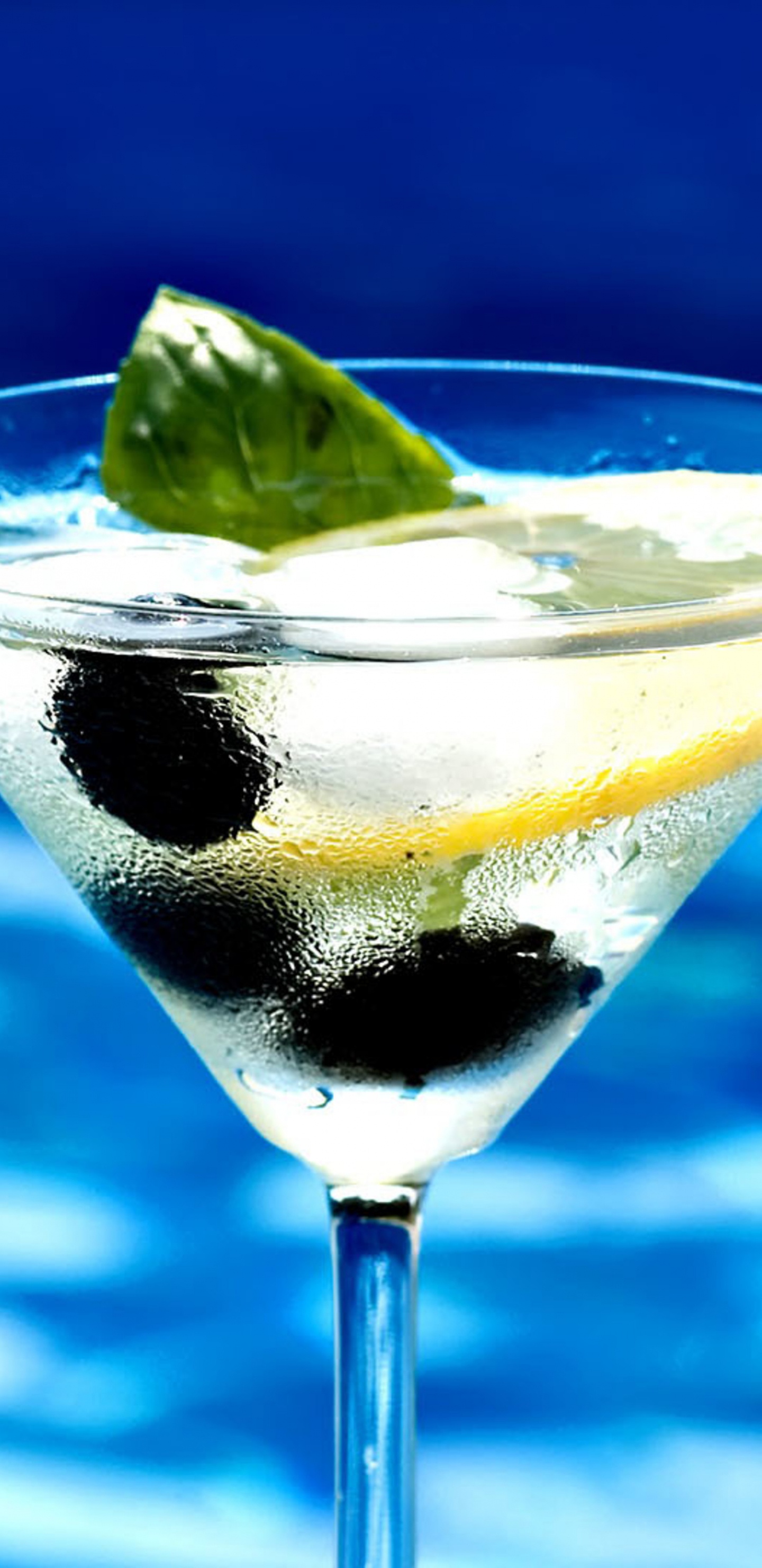Verre à Cocktail Transparent Avec du Citron Tranché et du Liquide Noir. Wallpaper in 1440x2960 Resolution