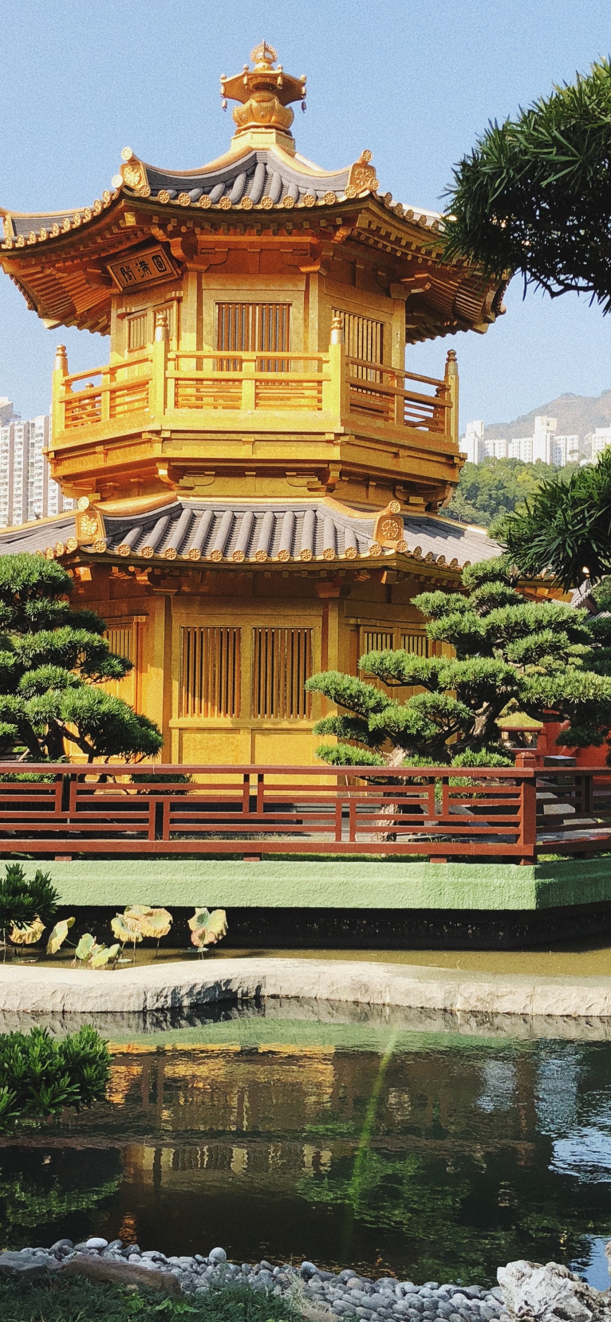 Hongkong, Nan Lian Garten, Tourismus, Chinesische Architektur, Gewässer. Wallpaper in 1242x2688 Resolution