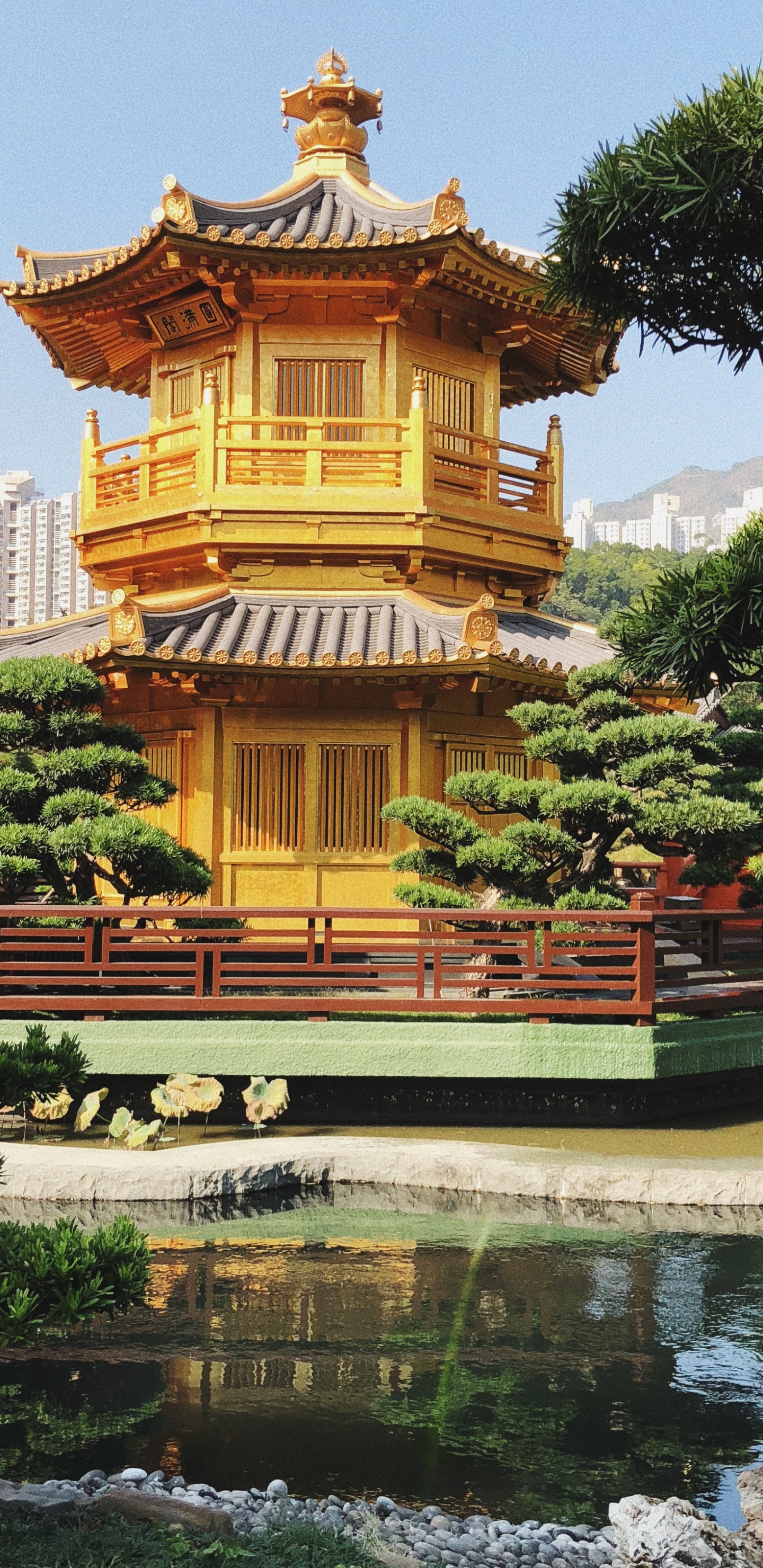 Hongkong, Nan Lian Garten, Tourismus, Chinesische Architektur, Gewässer. Wallpaper in 1440x2960 Resolution