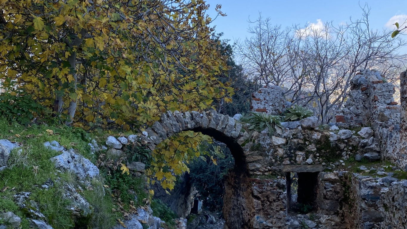 Leaf, Science, Plant, Natural Landscape, Tree. Wallpaper in 1366x768 Resolution