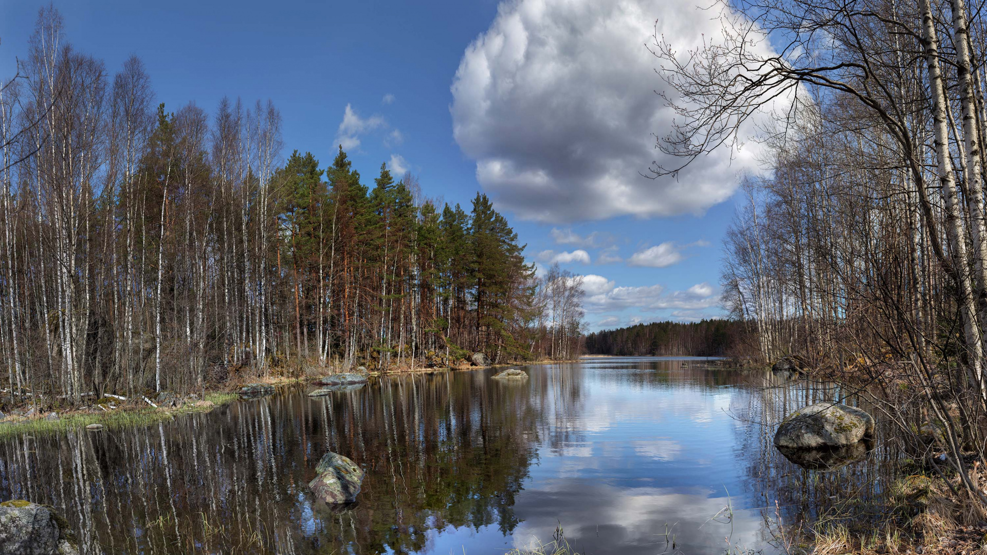 Green Trees Beside River Under Blue Sky During Daytime. Wallpaper in 1920x1080 Resolution