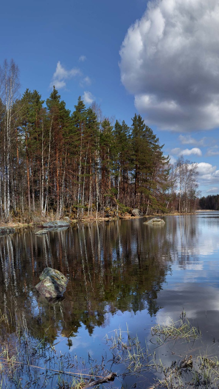 Green Trees Beside River Under Blue Sky During Daytime. Wallpaper in 720x1280 Resolution