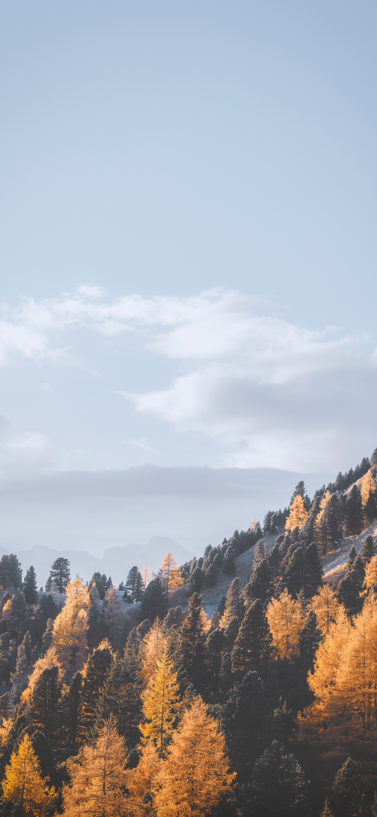 Feuille, Les Reliefs Montagneux, Environnement Naturel, Colline, Ciel. Wallpaper in 1242x2688 Resolution