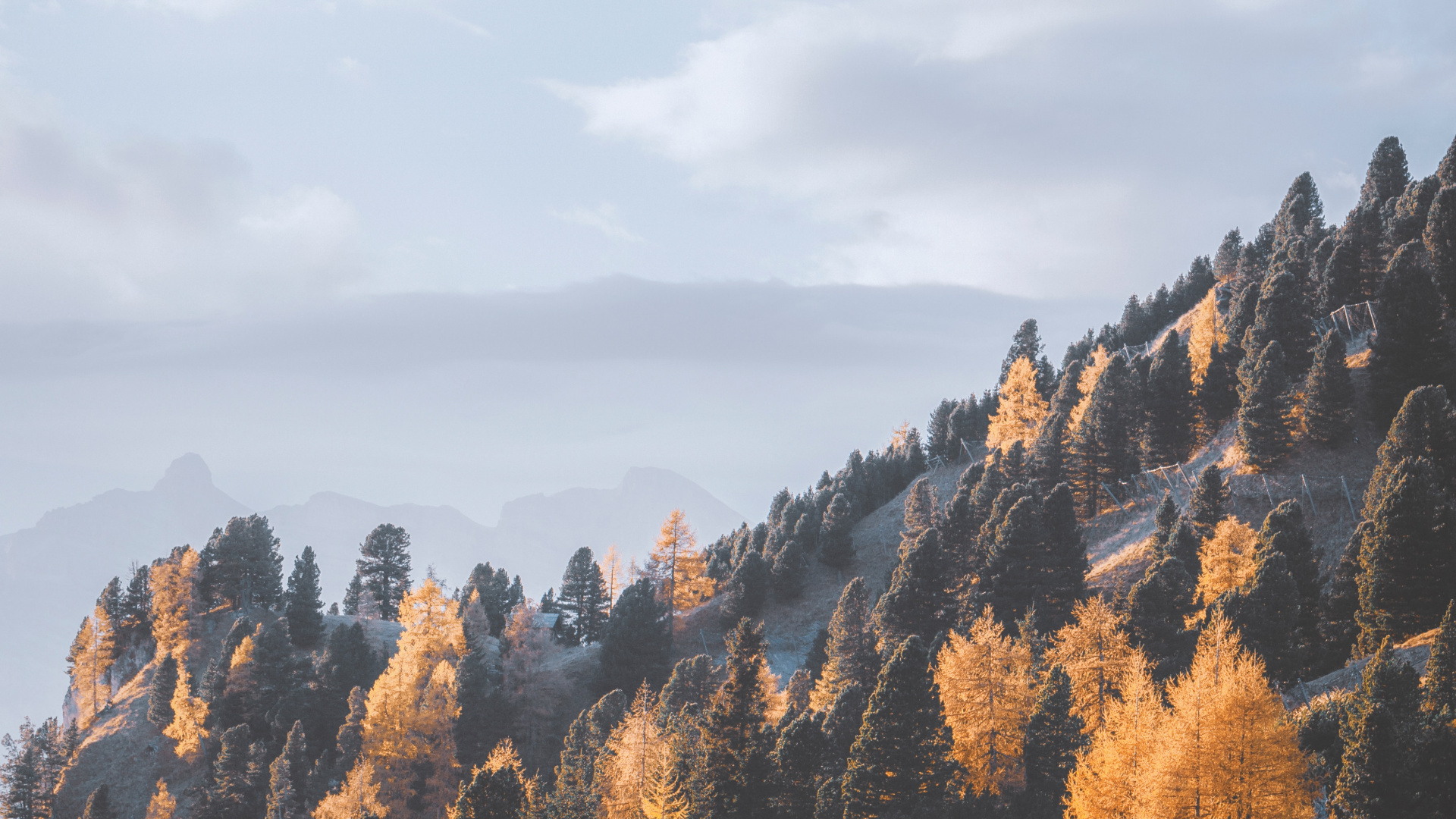 Blatt, Cloud, Baum, Wildnis, Bergigen Landschaftsformen. Wallpaper in 1920x1080 Resolution