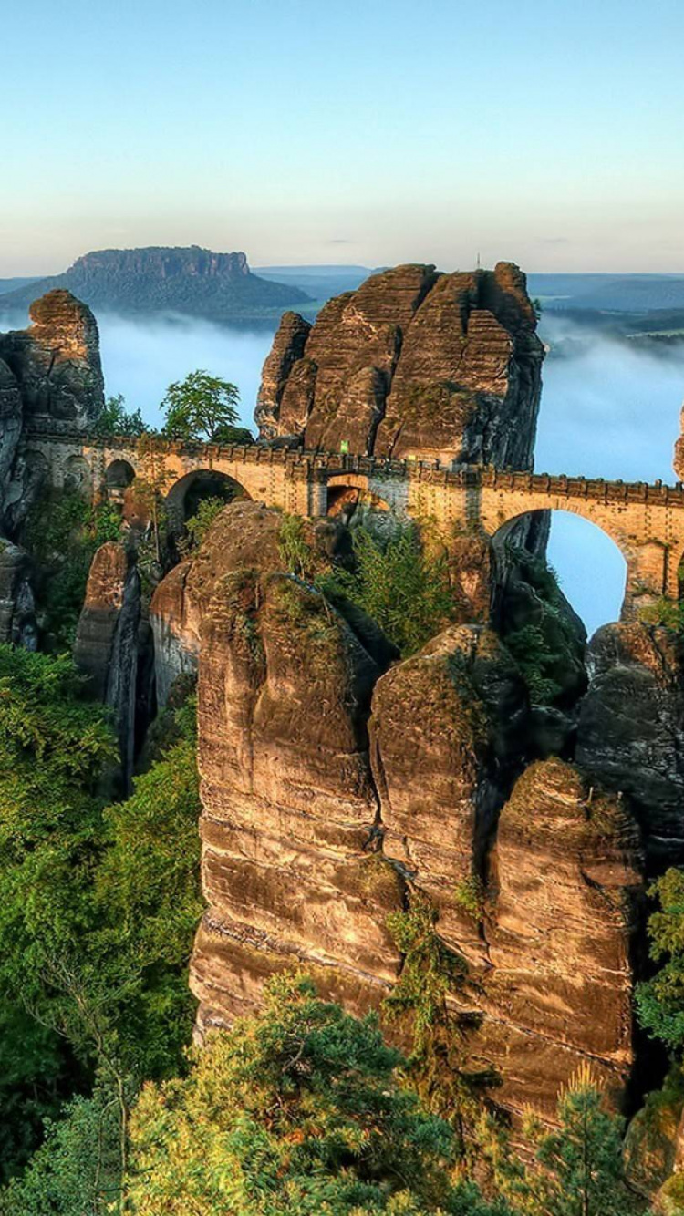 Tagsüber Grüne Bäume Auf Dem Berg. Wallpaper in 750x1334 Resolution