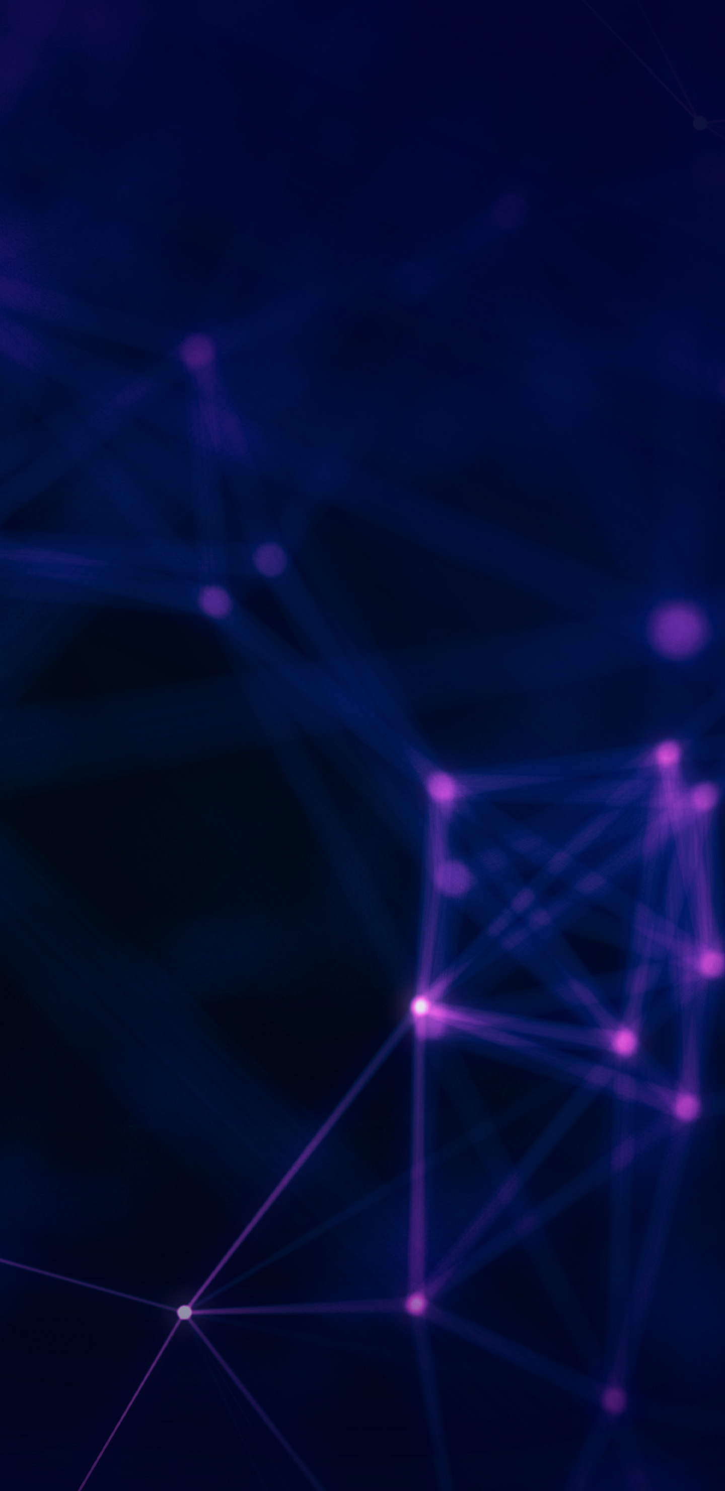 Weißes Spinnennetz in Nahaufnahmen. Wallpaper in 1440x2960 Resolution