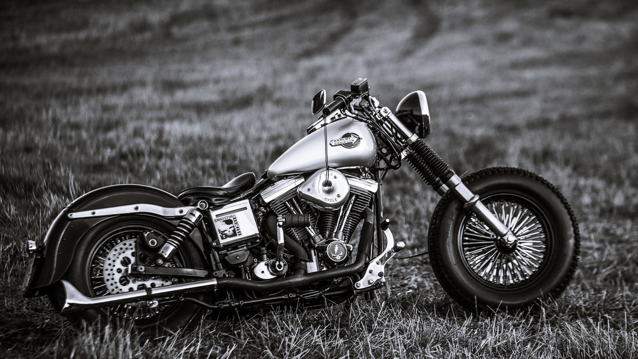 Photo en Niveaux de Gris de Moto Cruiser Sur Terrain en Herbe. Wallpaper in 1280x720 Resolution