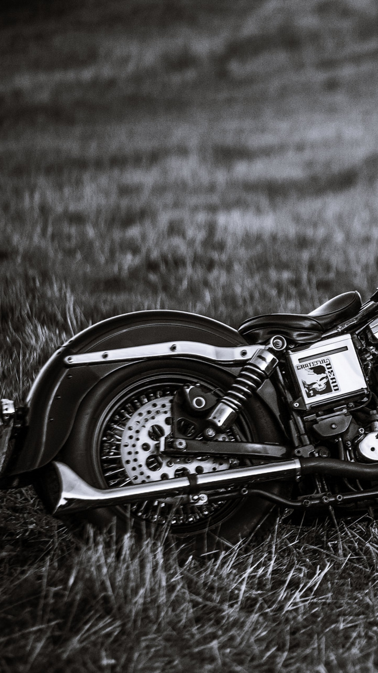 Photo en Niveaux de Gris de Moto Cruiser Sur Terrain en Herbe. Wallpaper in 750x1334 Resolution