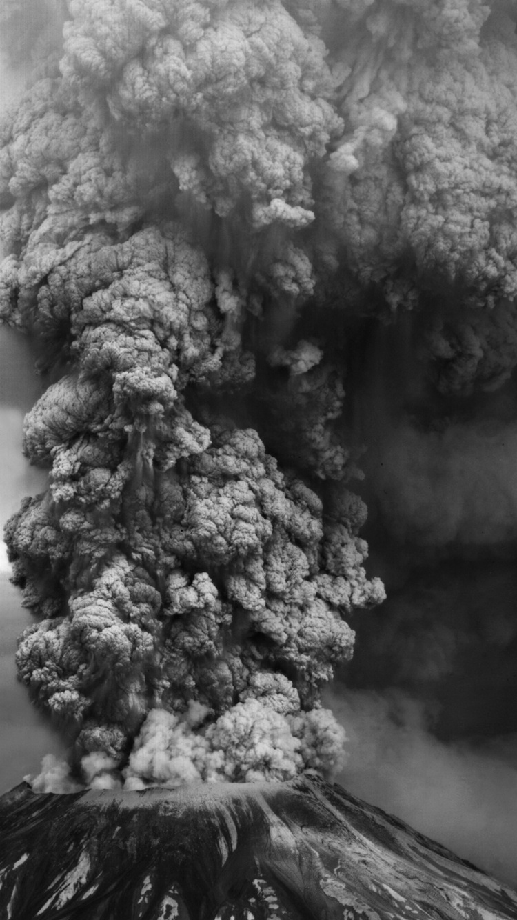 Photo en Niveaux de Gris D'un Arbre Sur Une Colline. Wallpaper in 750x1334 Resolution