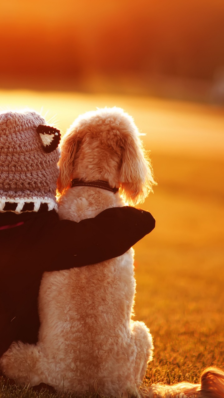 Friendship, Love, Sunlight, Friendship Day, Snout. Wallpaper in 720x1280 Resolution