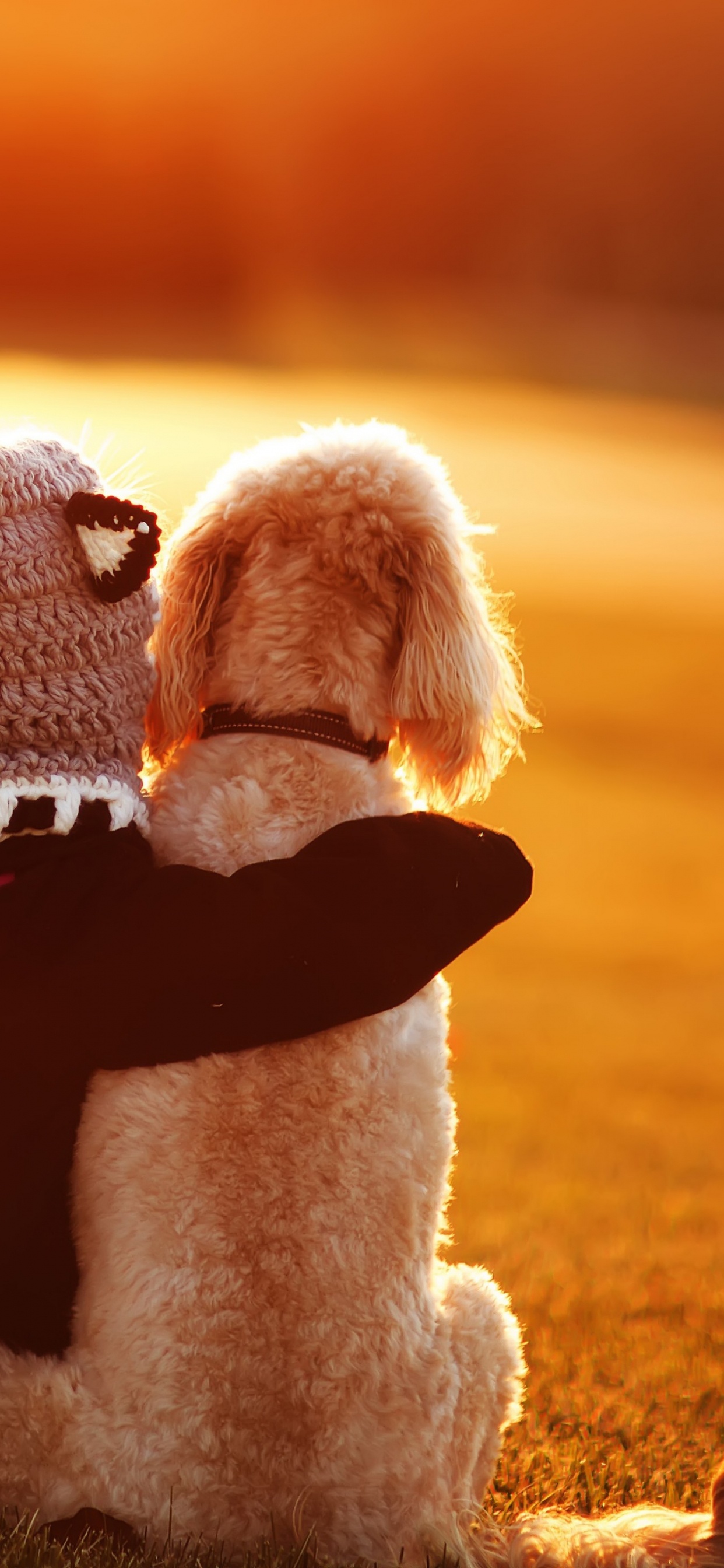 Freundschaft, Liebe, Sonnenlicht, Tag Der Freundschaft, Stofftier. Wallpaper in 1242x2688 Resolution