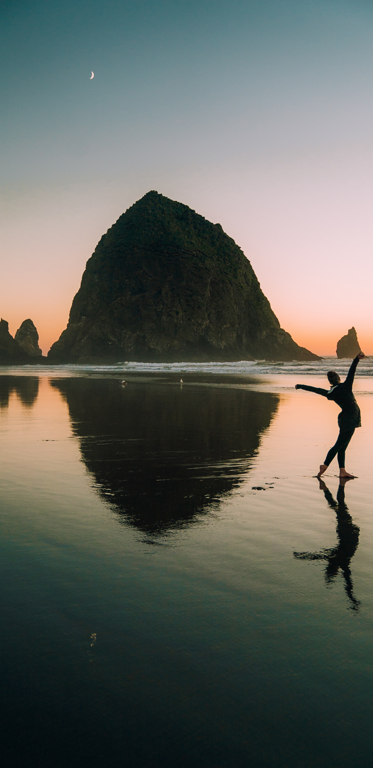 Haystack Rock, Tourisme, Réflexion, Eau, Mer. Wallpaper in 1440x2960 Resolution