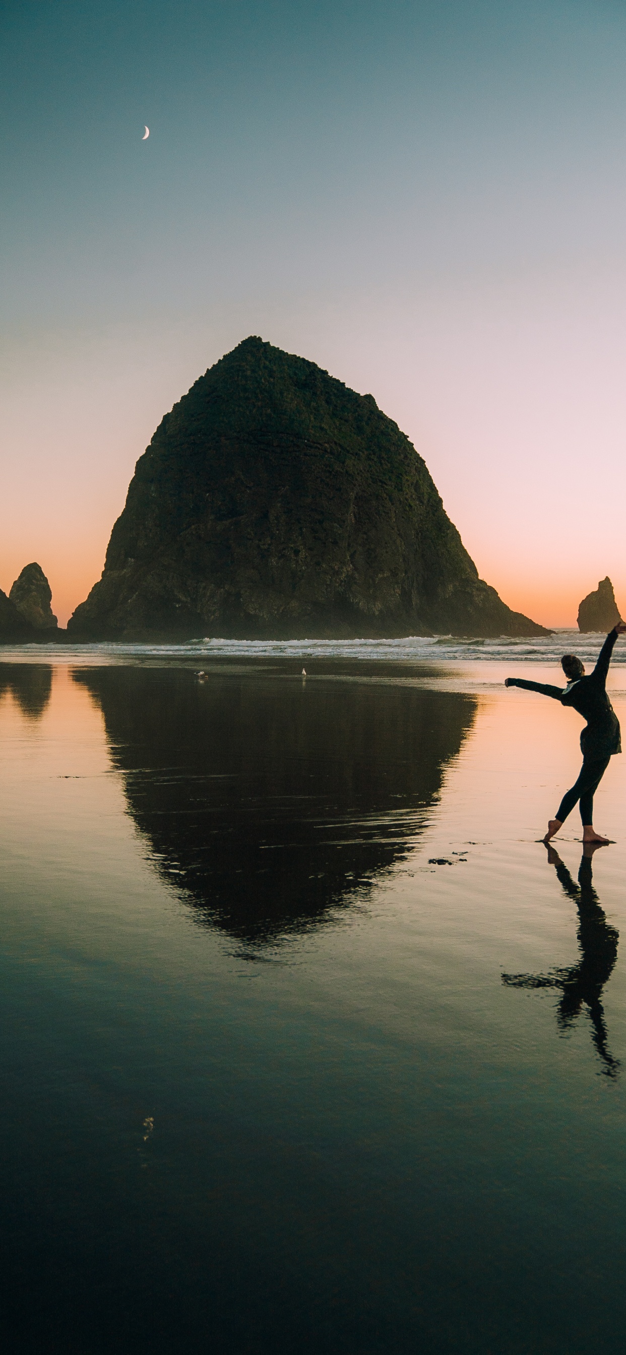 Haystack Rock, Tourism, Reflection, Water, Sea. Wallpaper in 1242x2688 Resolution