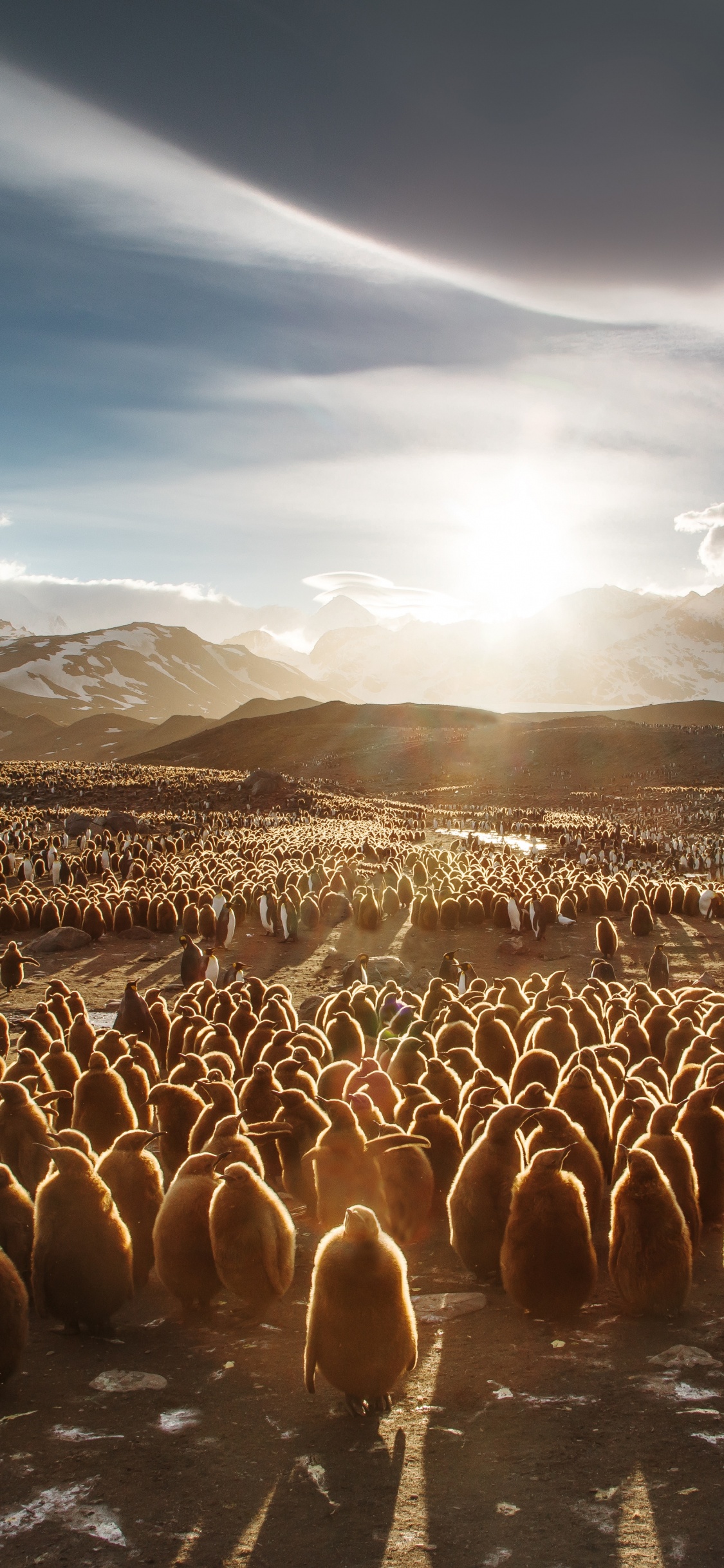 Braune Und Weiße Berge Unter Blauem Himmel. Wallpaper in 1125x2436 Resolution