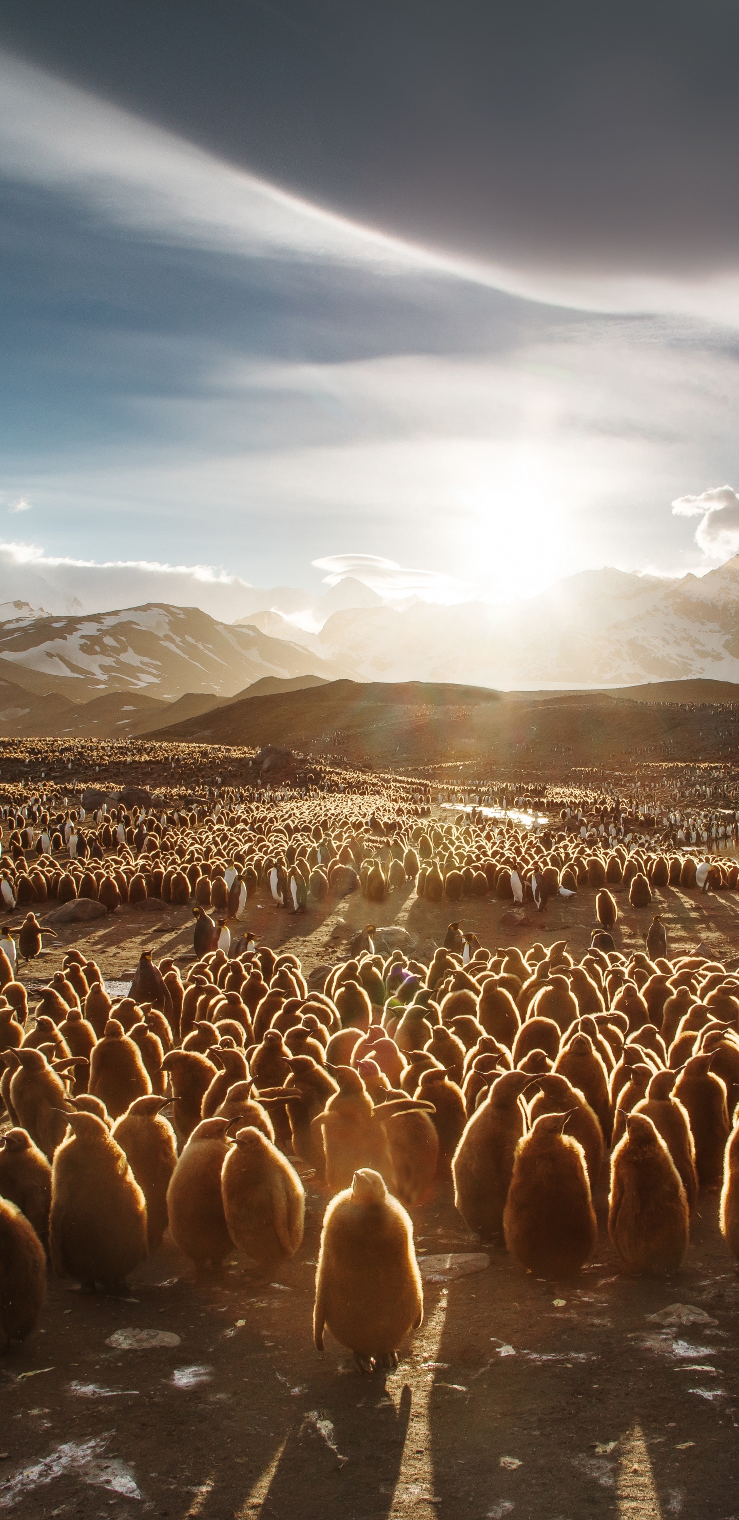 Braune Und Weiße Berge Unter Blauem Himmel. Wallpaper in 1440x2960 Resolution
