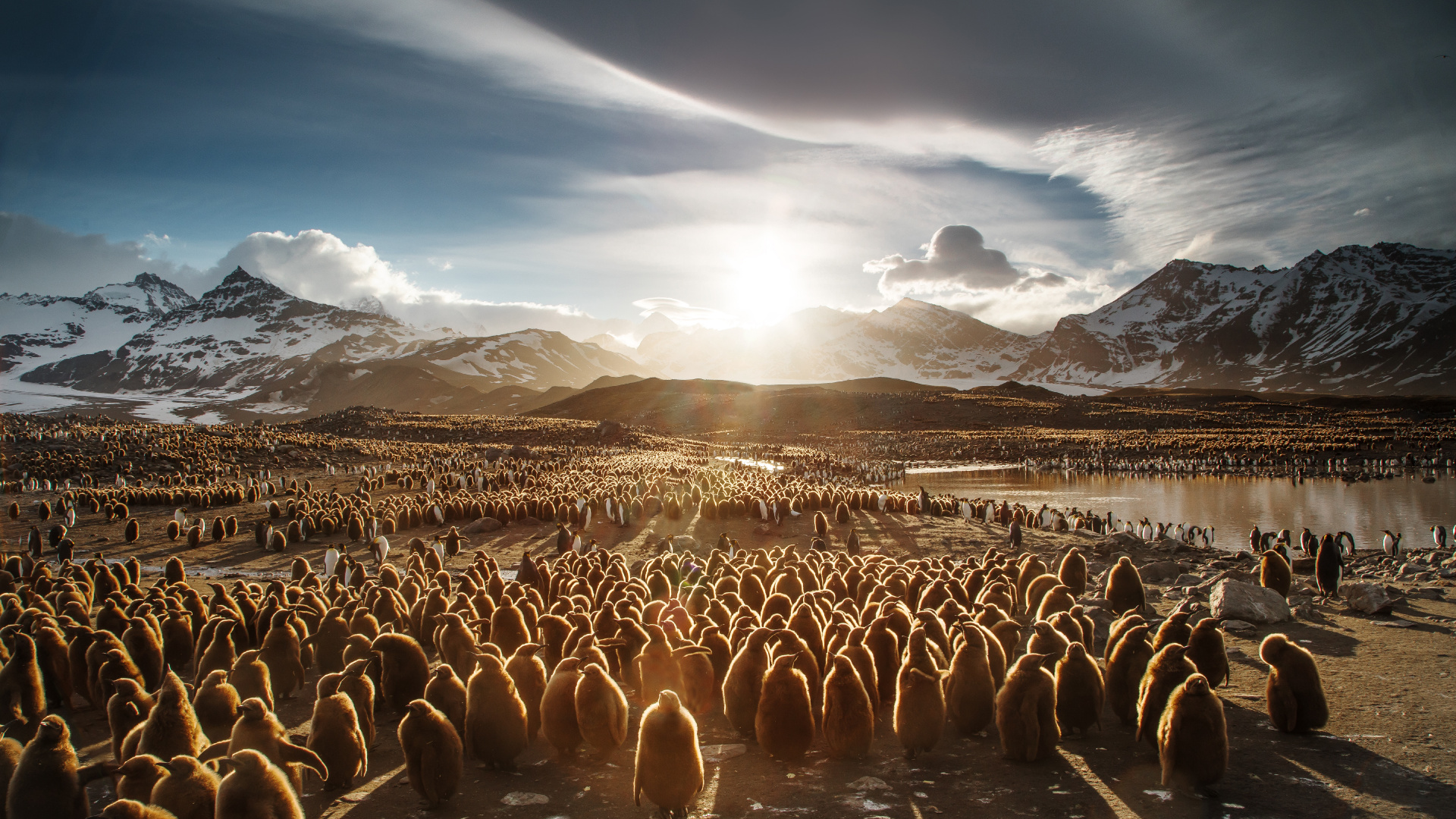 Braune Und Weiße Berge Unter Blauem Himmel. Wallpaper in 1920x1080 Resolution