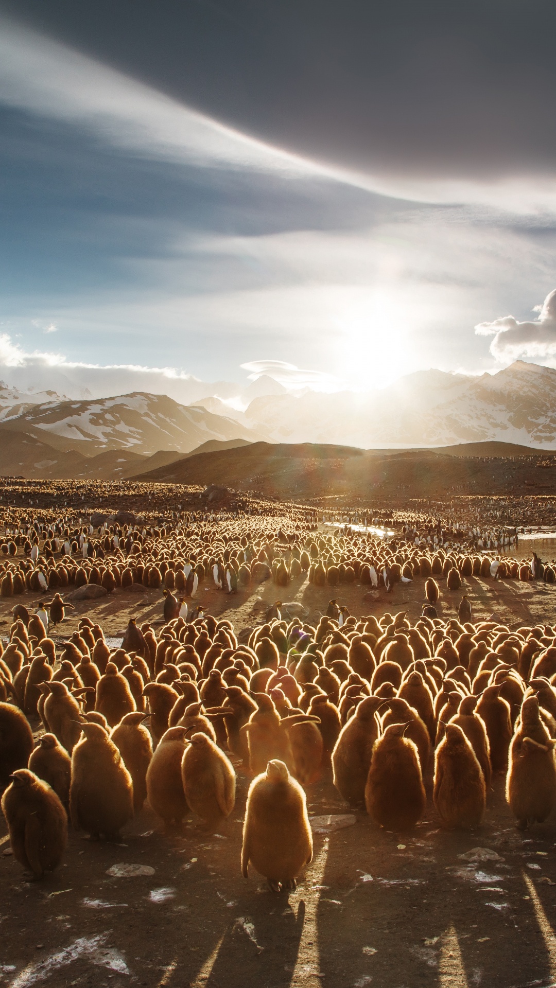 Brown and White Mountains Under Blue Sky. Wallpaper in 1080x1920 Resolution