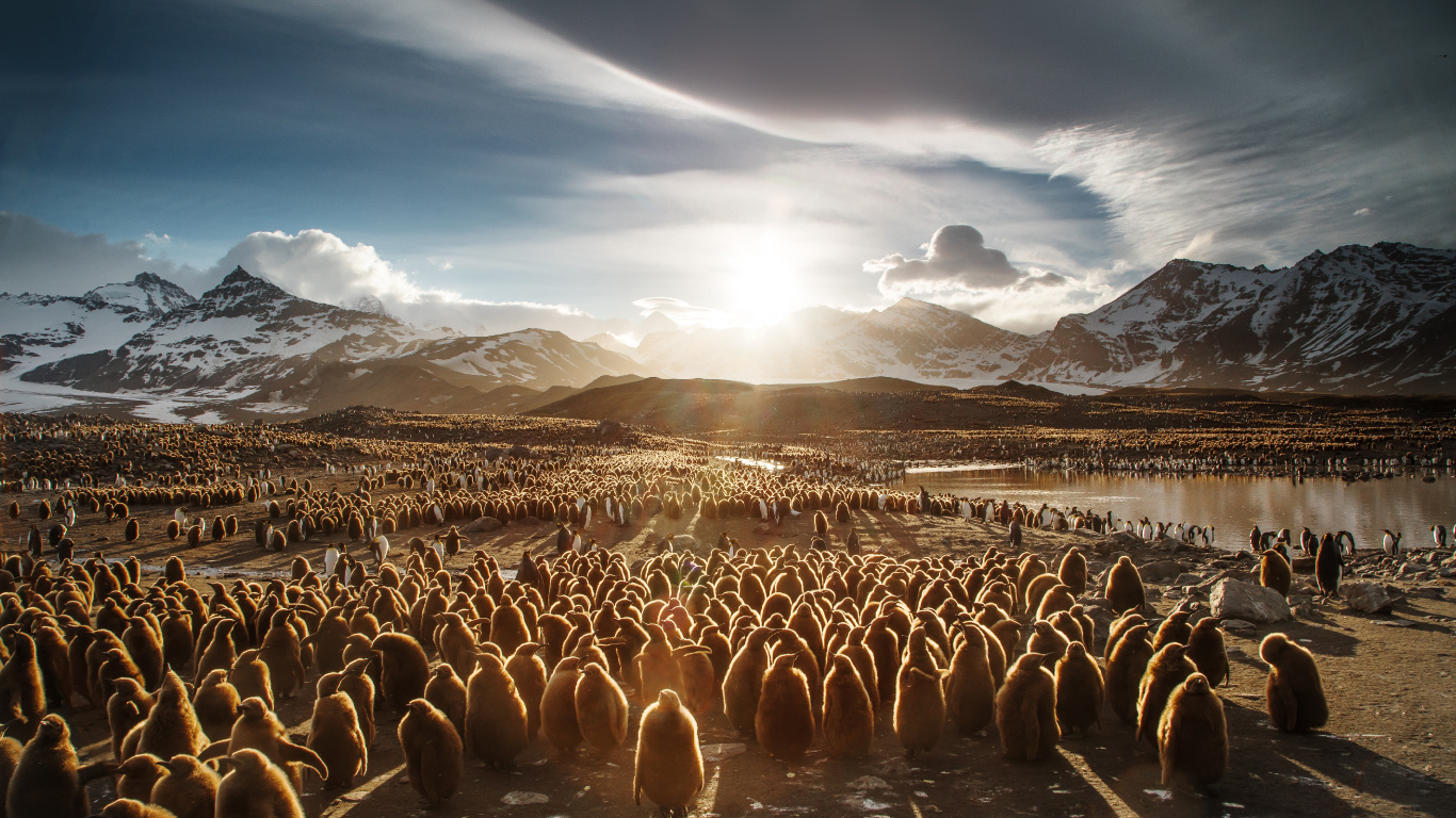 Brown and White Mountains Under Blue Sky. Wallpaper in 1366x768 Resolution