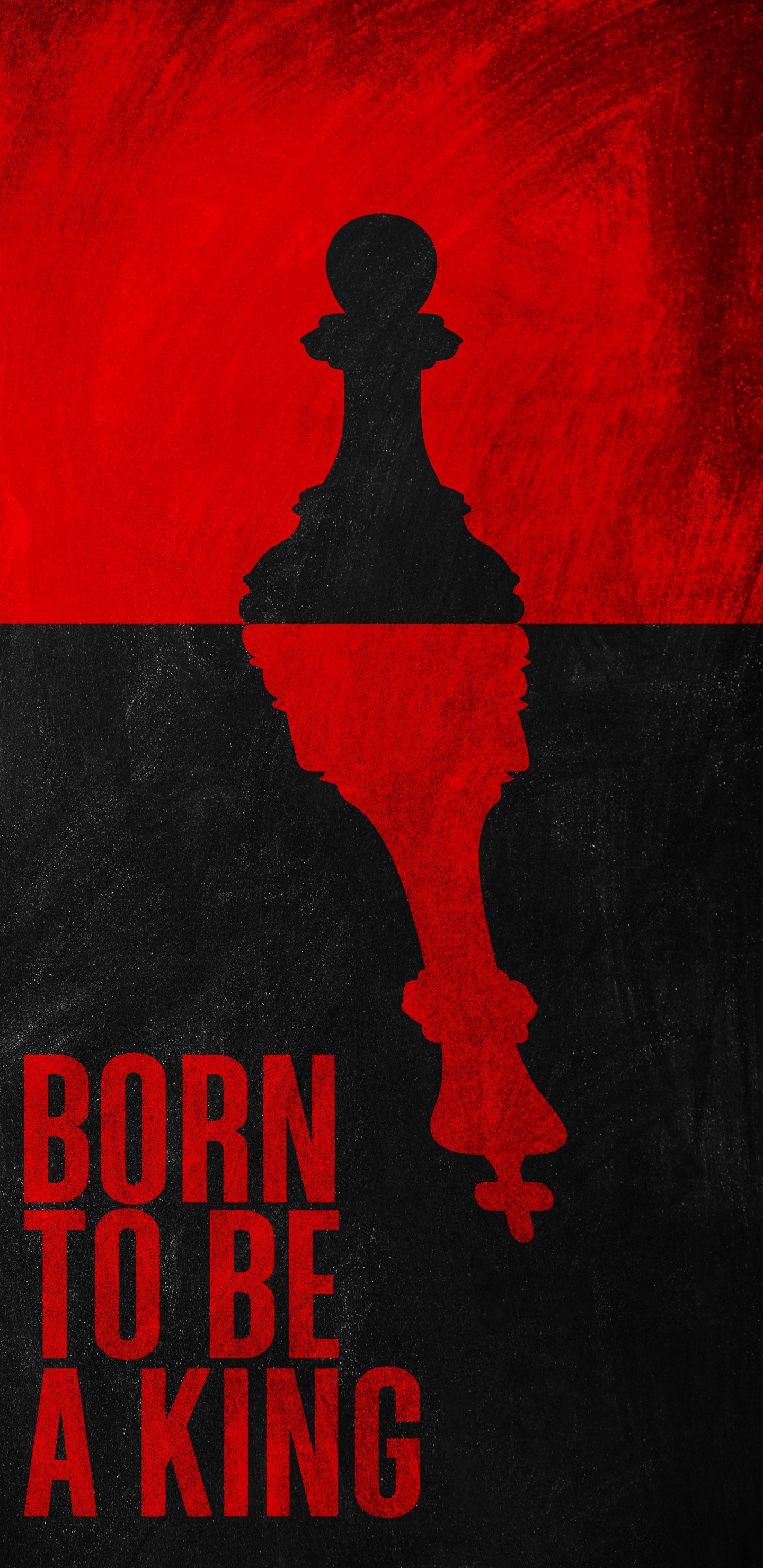 Cartel, Artes Visuales, Diseño Gráfico, Biología, Negro. Wallpaper in 1440x2960 Resolution